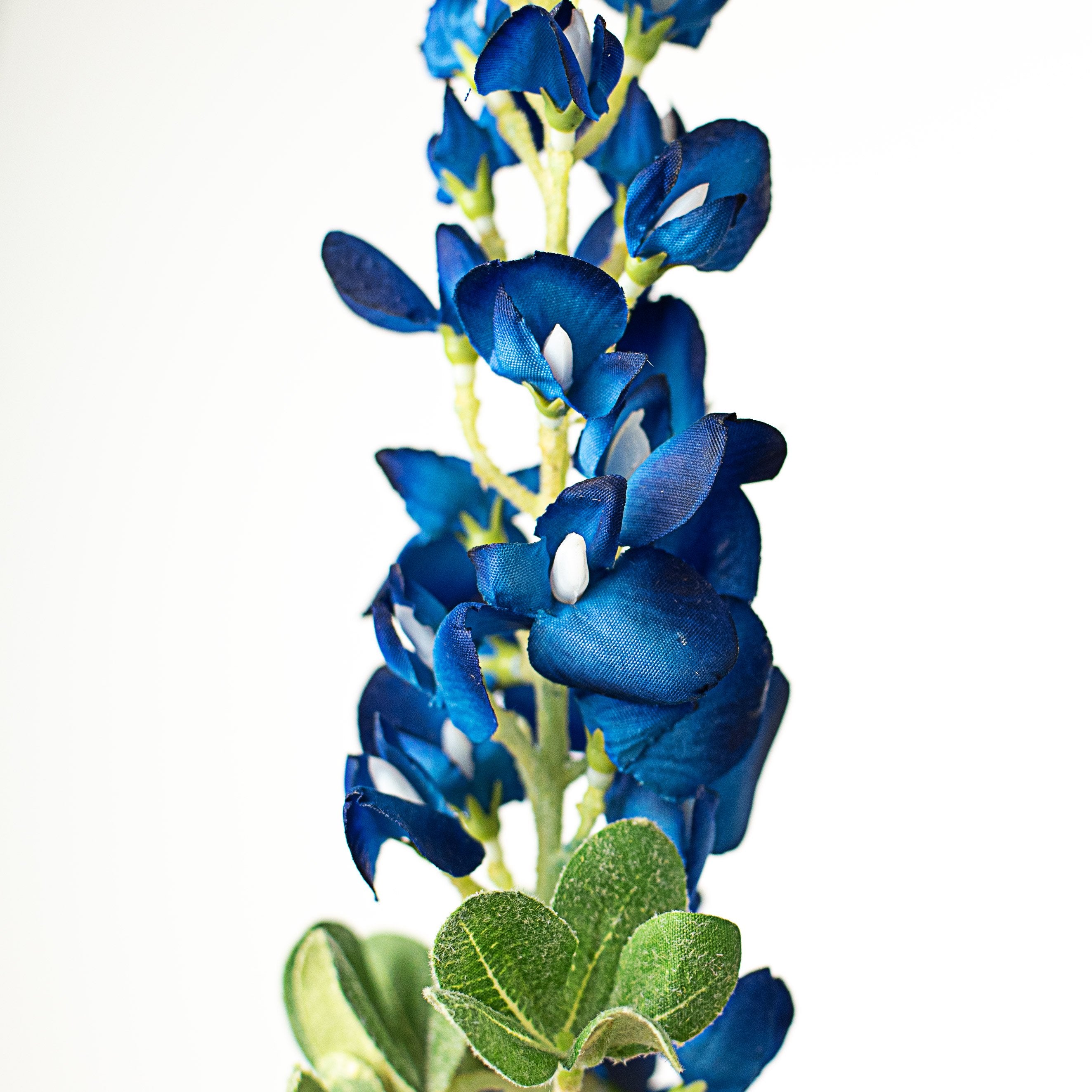 18" Bluebonnet Stem Lifestyle Photo