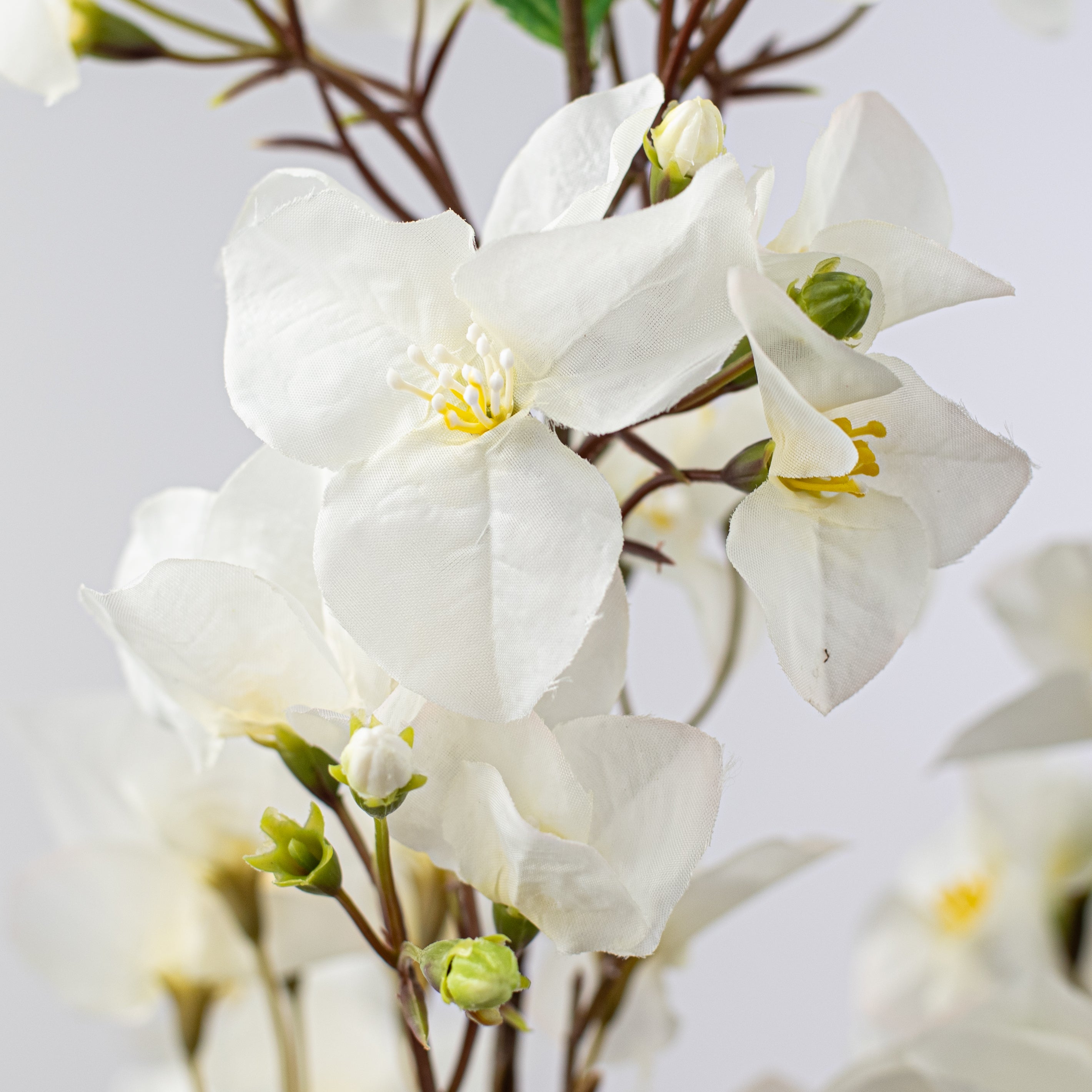 42" Bougainvillea Blossom Spray: Cream Lifestyle Photo