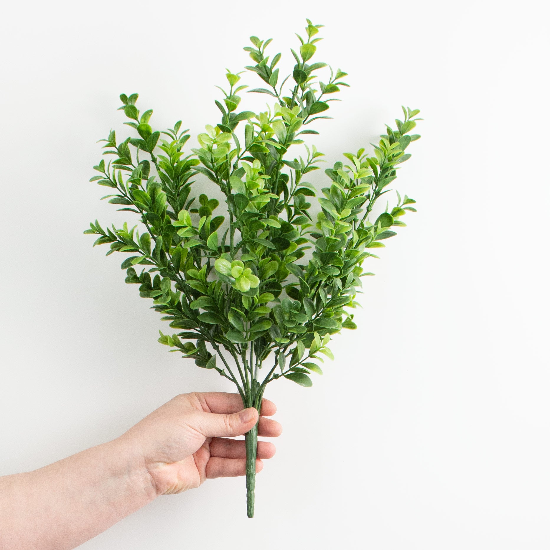 18" Boxwood Bush detail photo 3