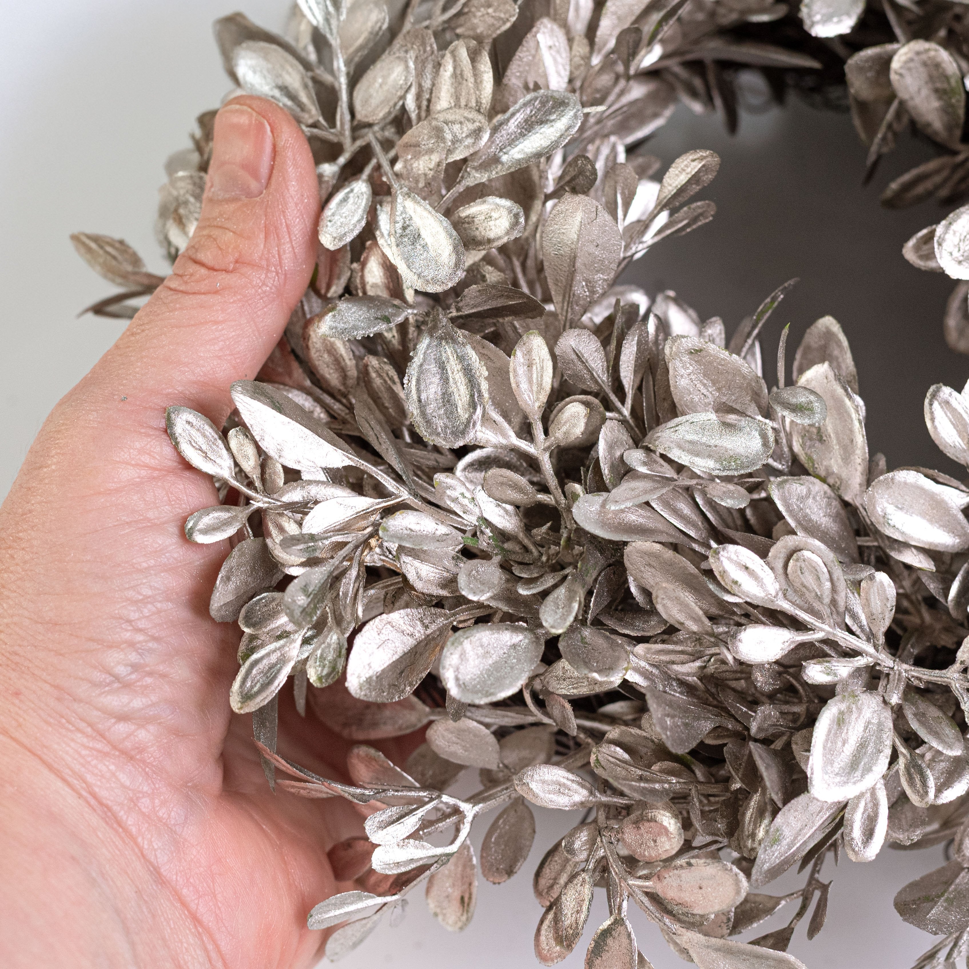 9" Boxwood Cabinet Wreath: Champagne detail photo 3