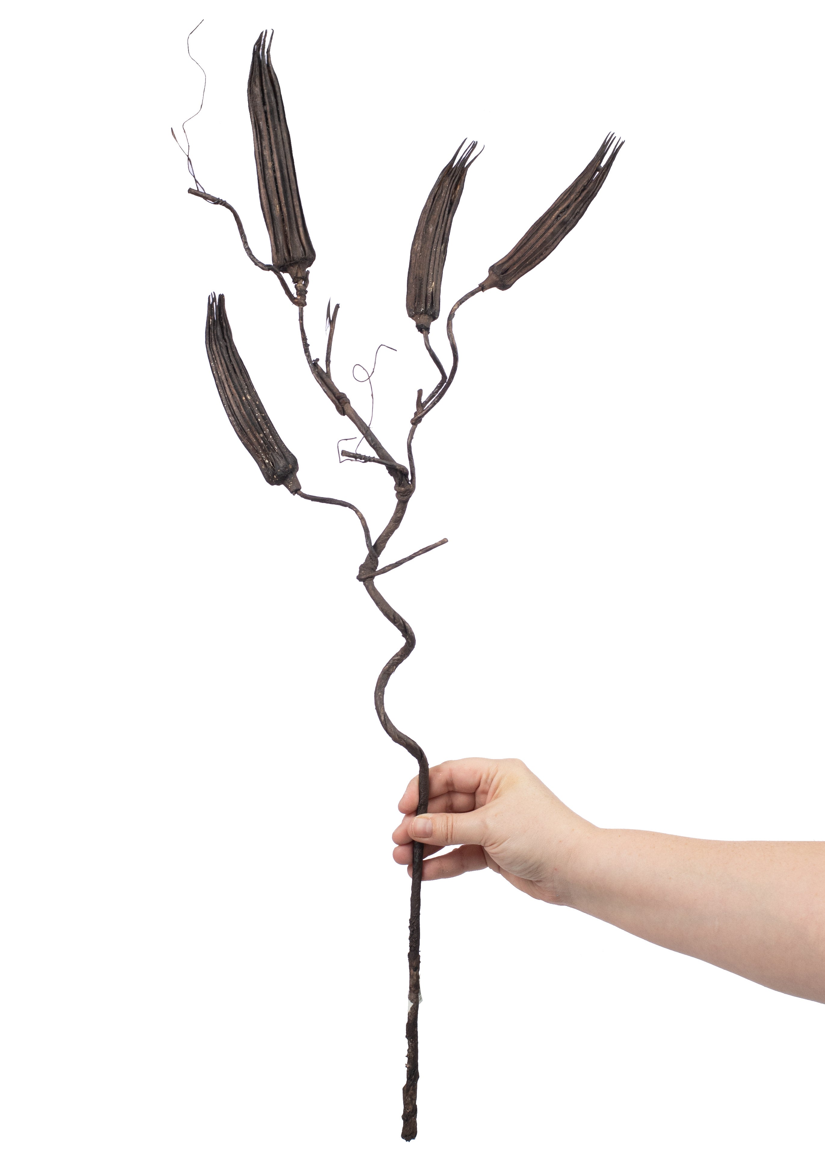 30" Brown Long Pod Branch Lifestyle Photo