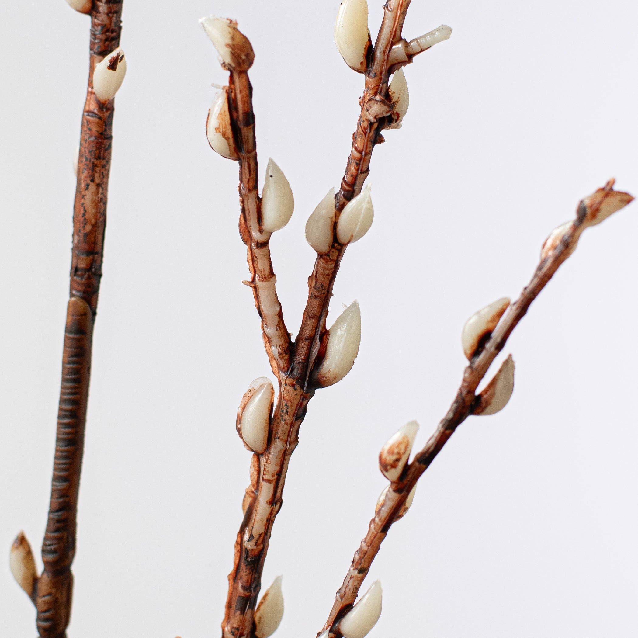 39" Buds Branch Lifestyle Photo