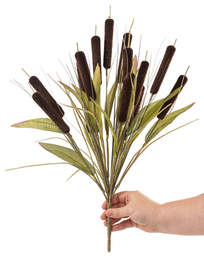 20" Cattail Bush Lifestyle Photo