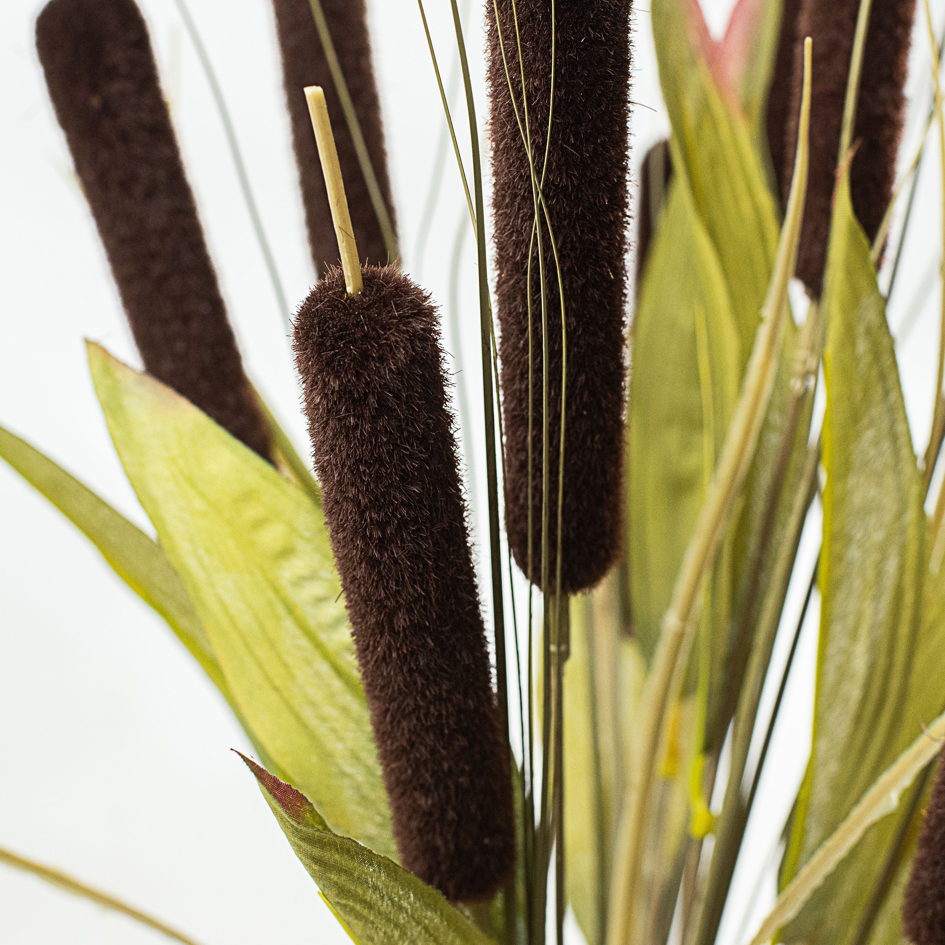 20" Cattail Bush detail photo 3
