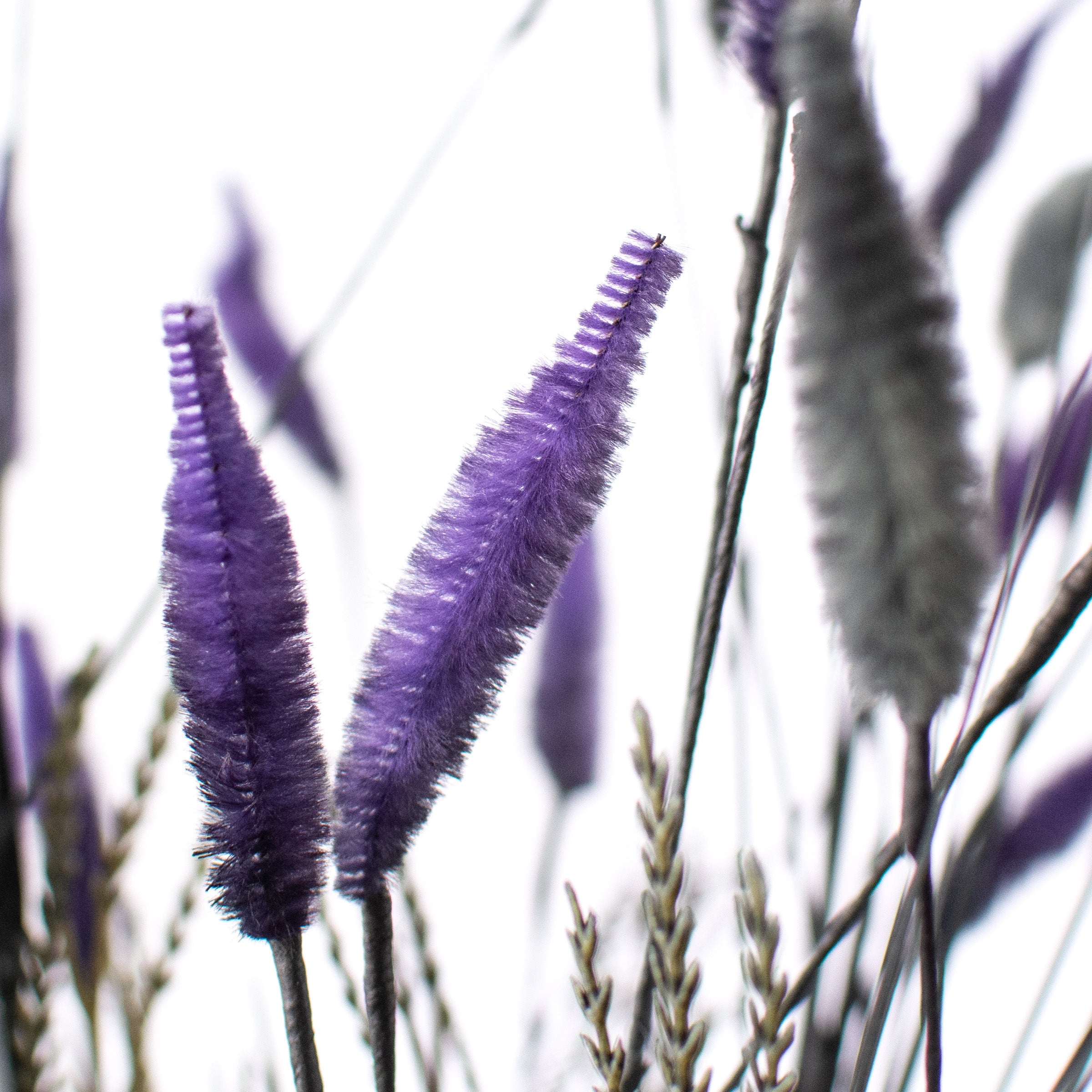22" Cattail Filler Bush: Purple & Black Lifestyle Photo