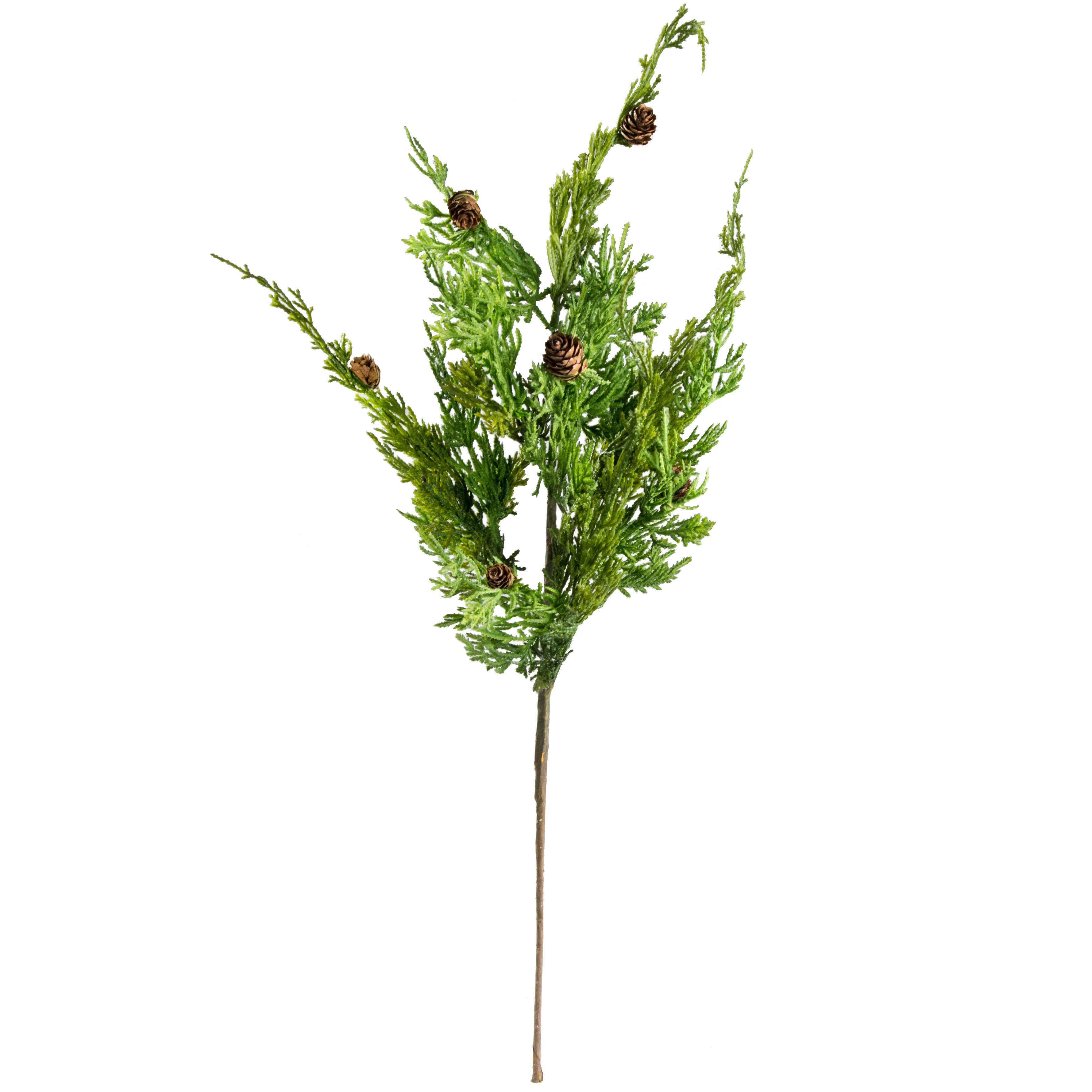 25" Cedar Pine & Pinecone Spray detail photo 3