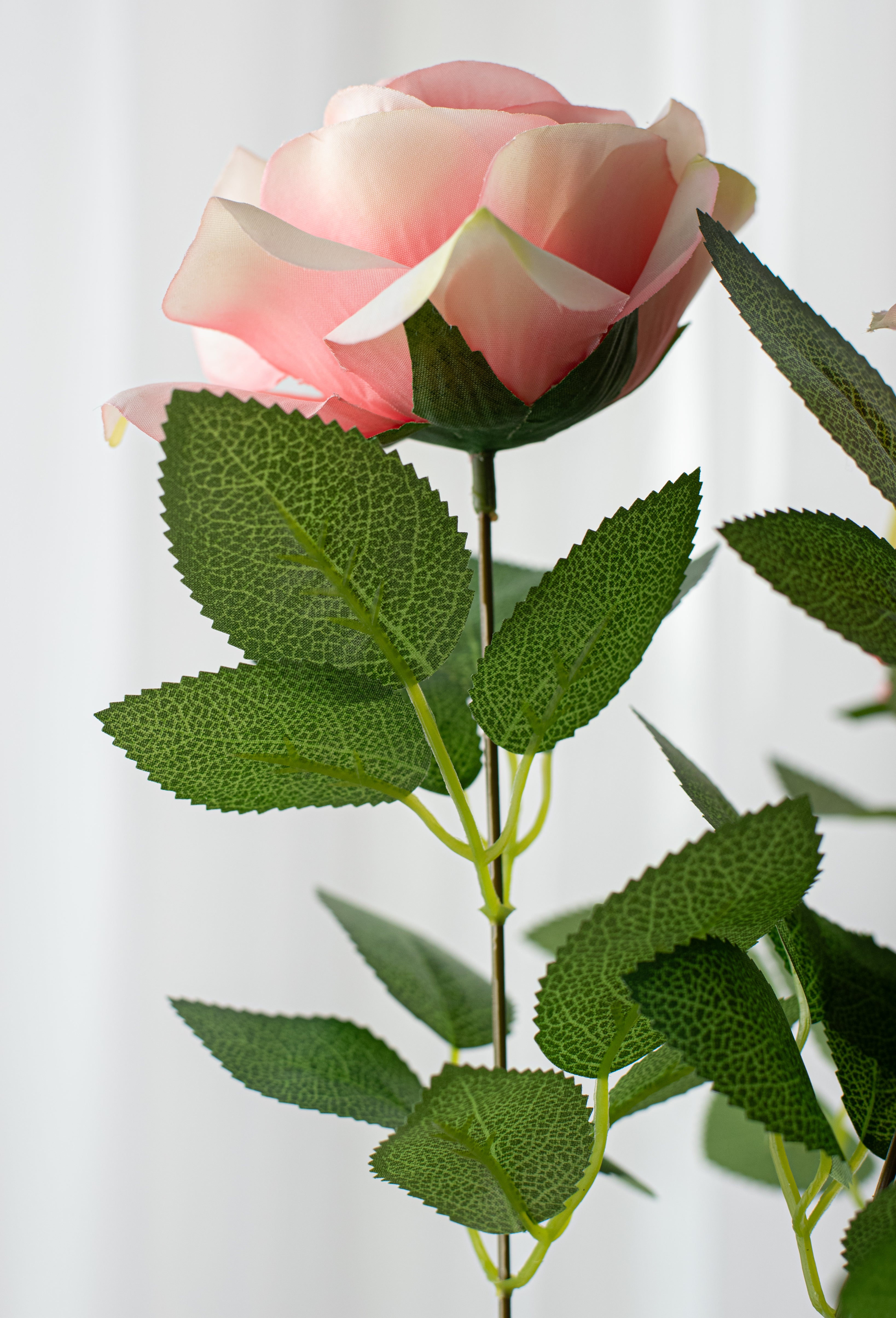 20" Celine Rose Bush: Rose Pink (9 Stem) detail photo 4