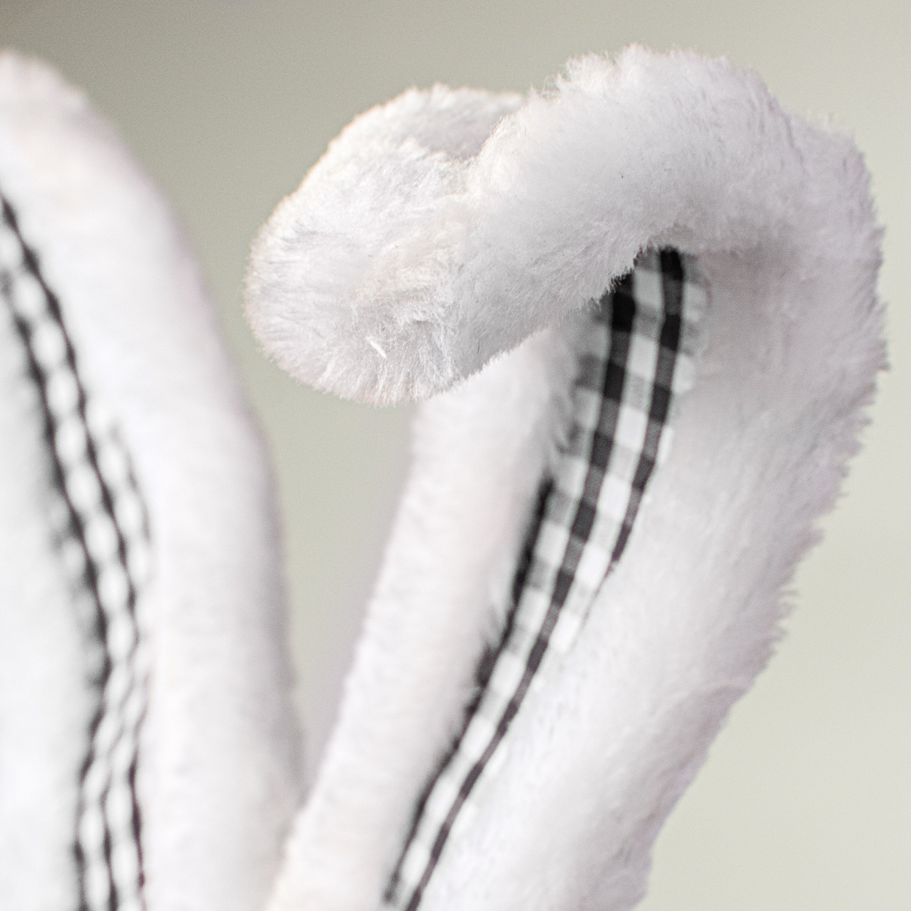 21" Check Bunny Ear Spray: Black Lifestyle Photo