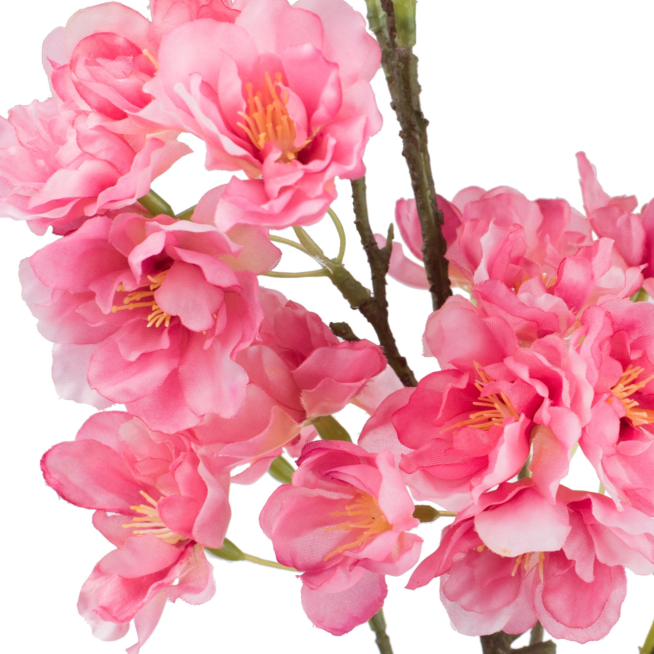 38" Cherry Blossom Spray: Hot Pink Lifestyle Photo