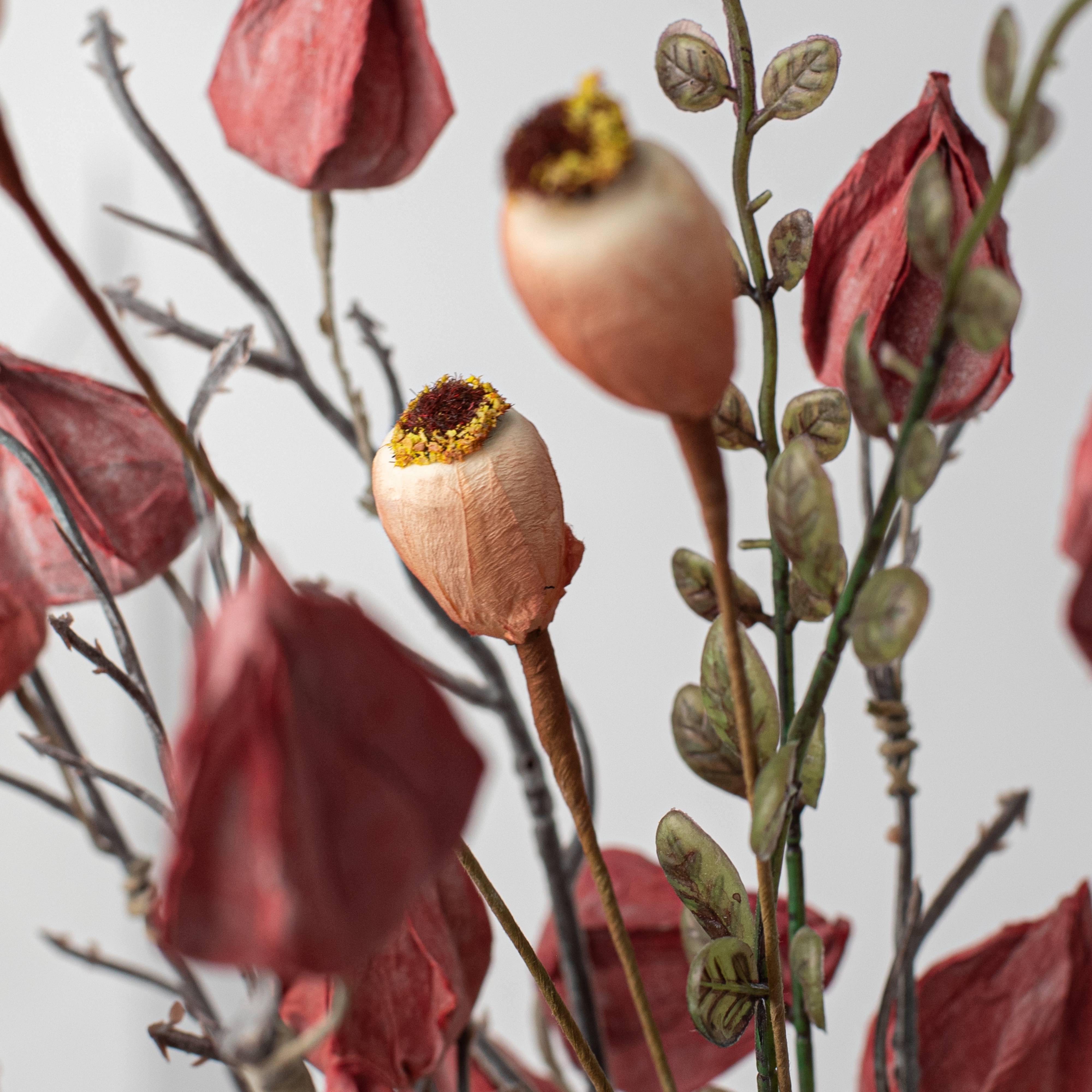 21" Chinese Lantern Bush: Burgundy Rust Lifestyle Photo