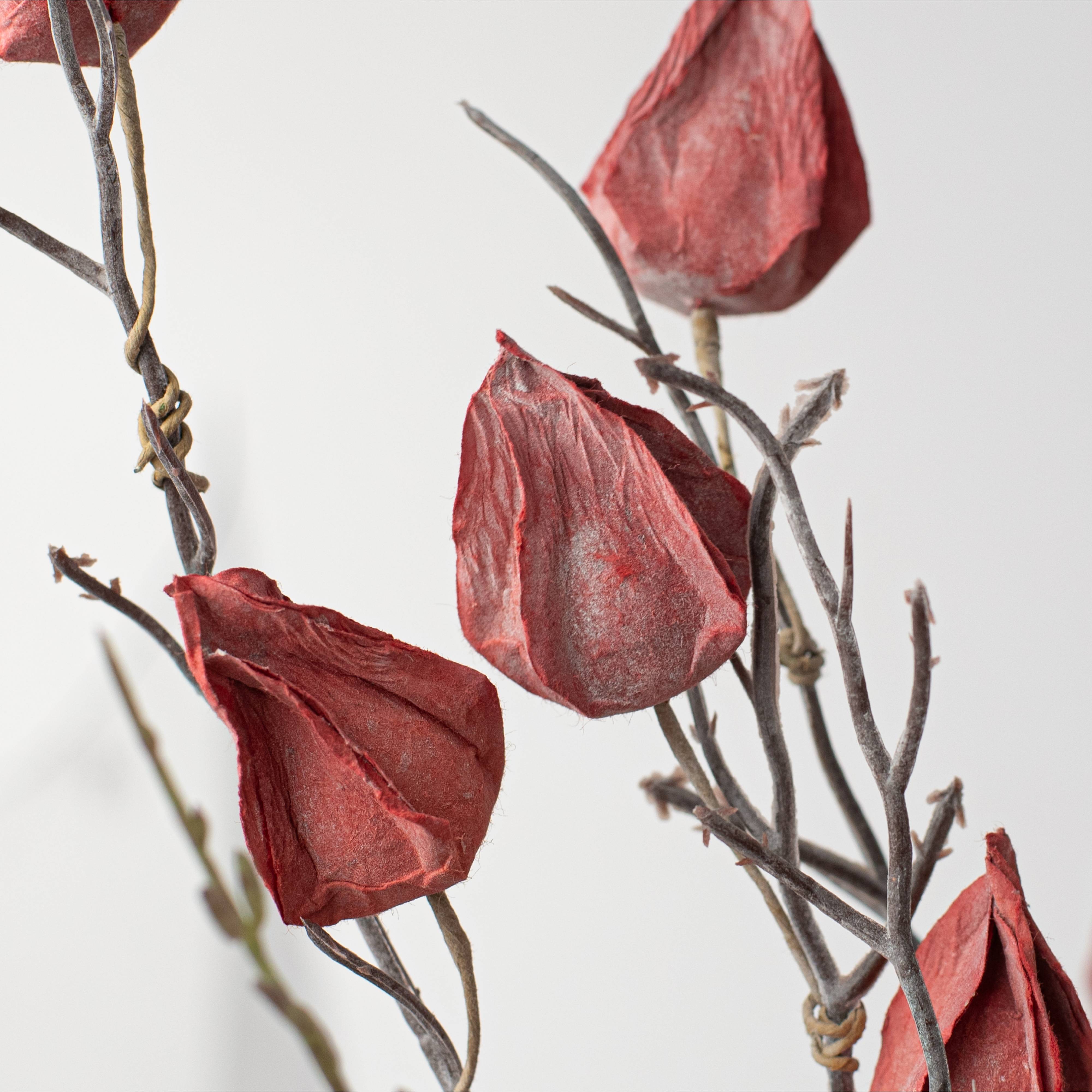 21" Chinese Lantern Bush: Burgundy Rust detail photo 4