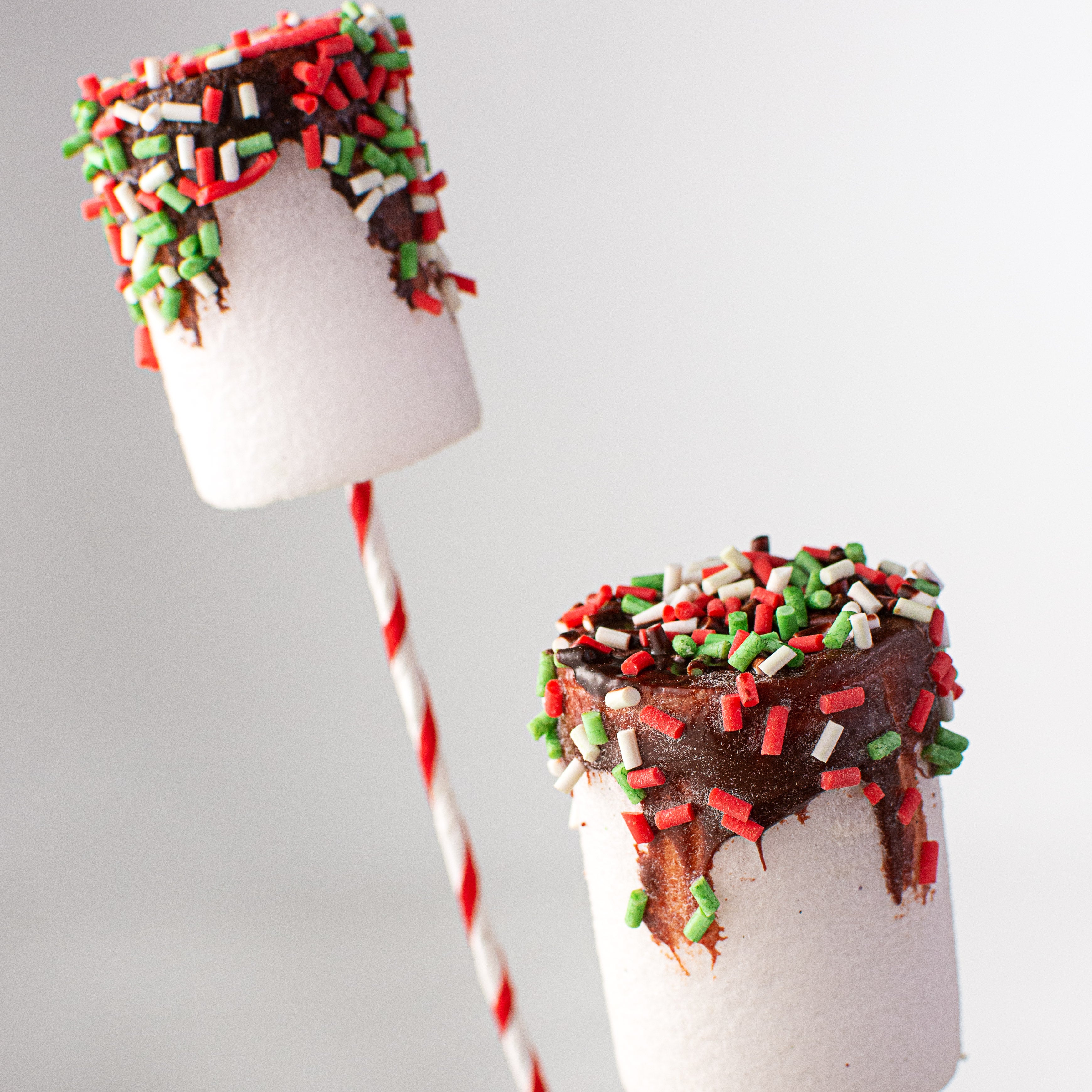20" Chocolate Dipped Marshmallow Pick: Christmas Lifestyle Photo