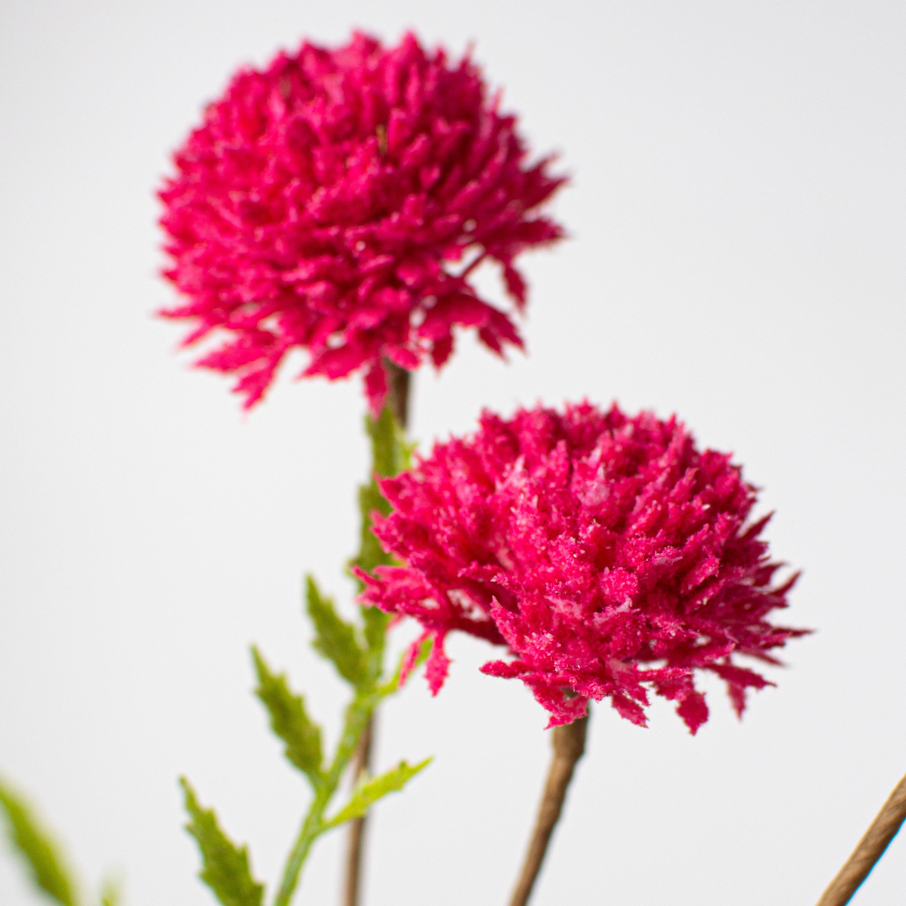 28" Clover Stem: Hot Pink Lifestyle Photo