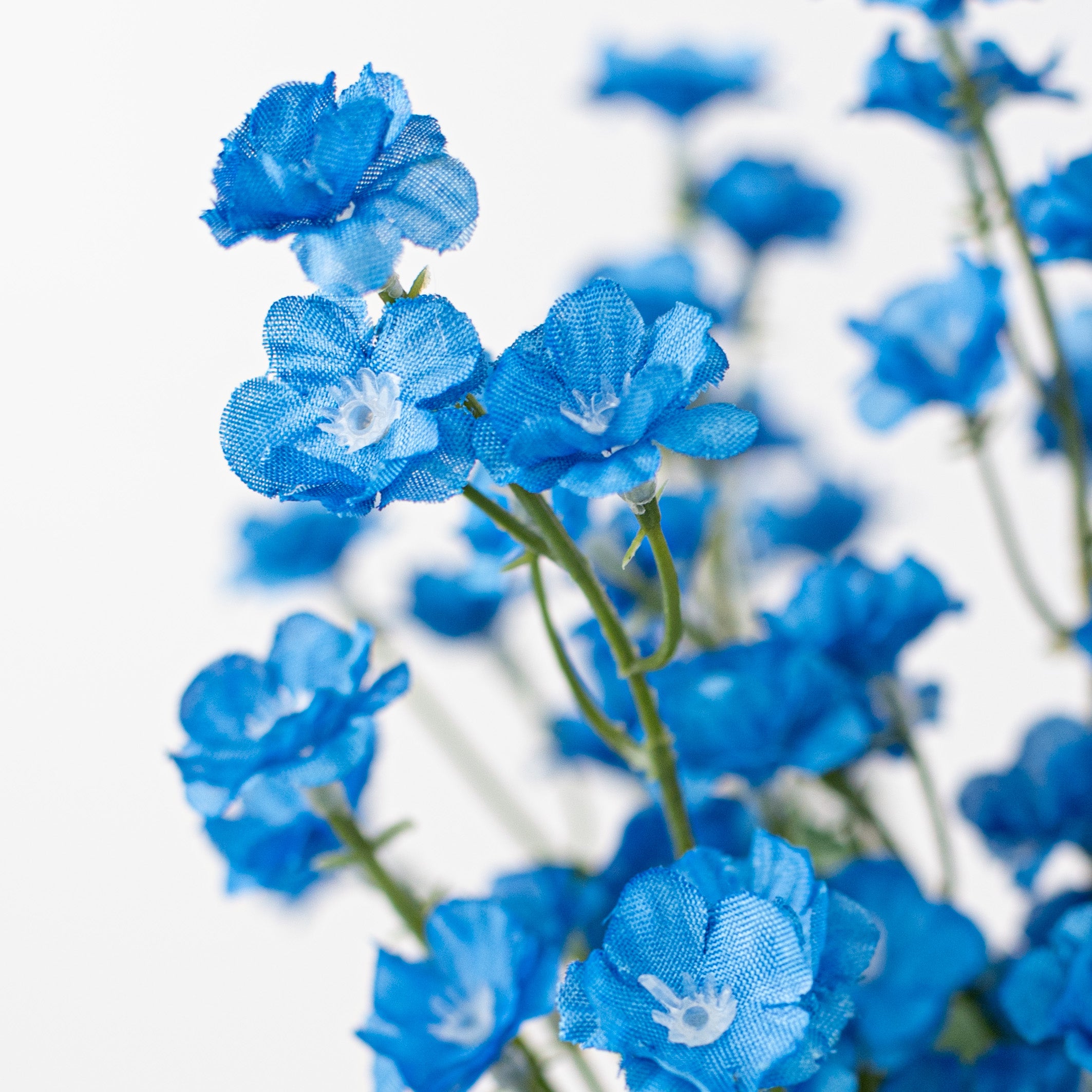 19" Colorfast Double Baby's Breath: Blue Lifestyle Photo