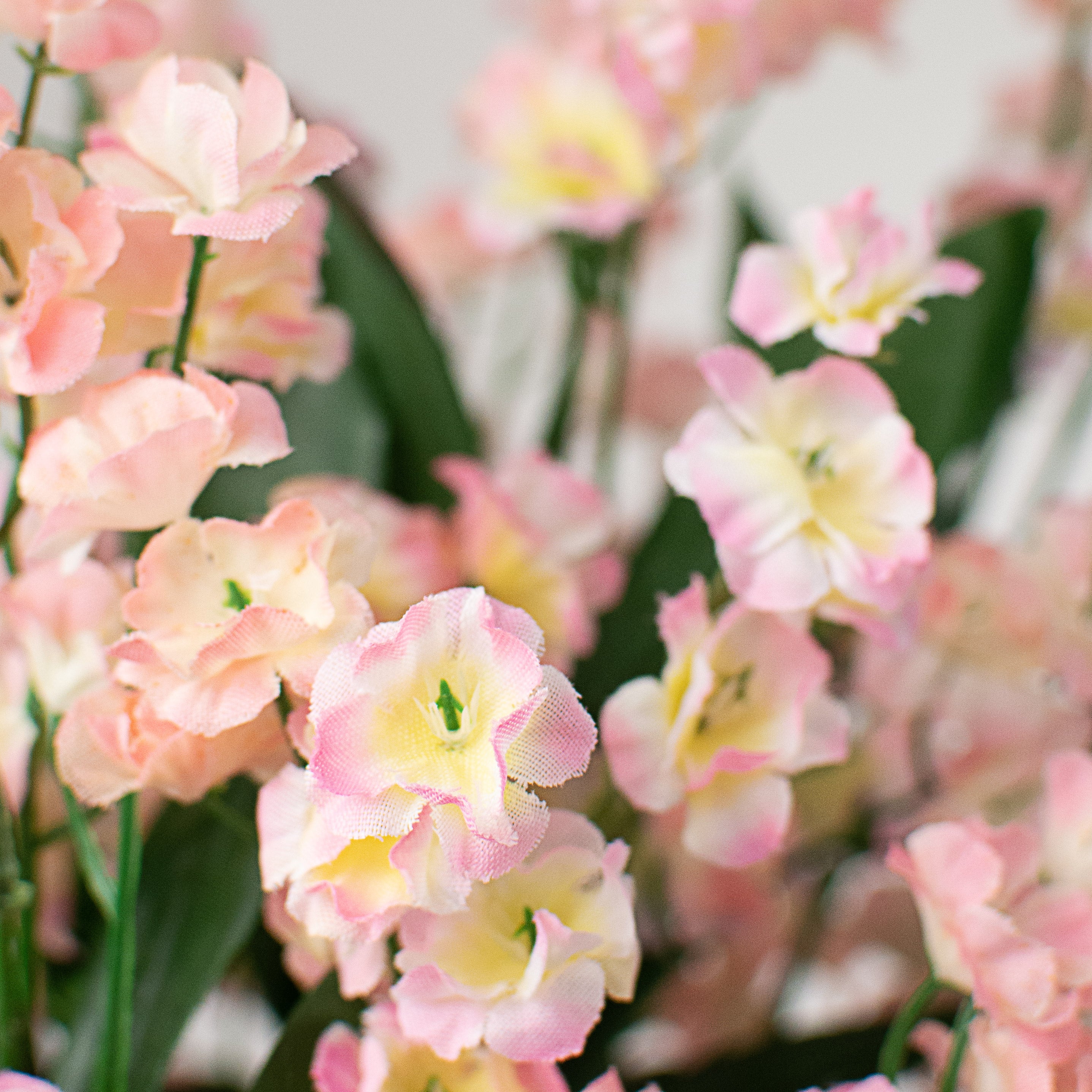 19" Colorfast Double Baby's Breath: Light Pink Lifestyle Photo