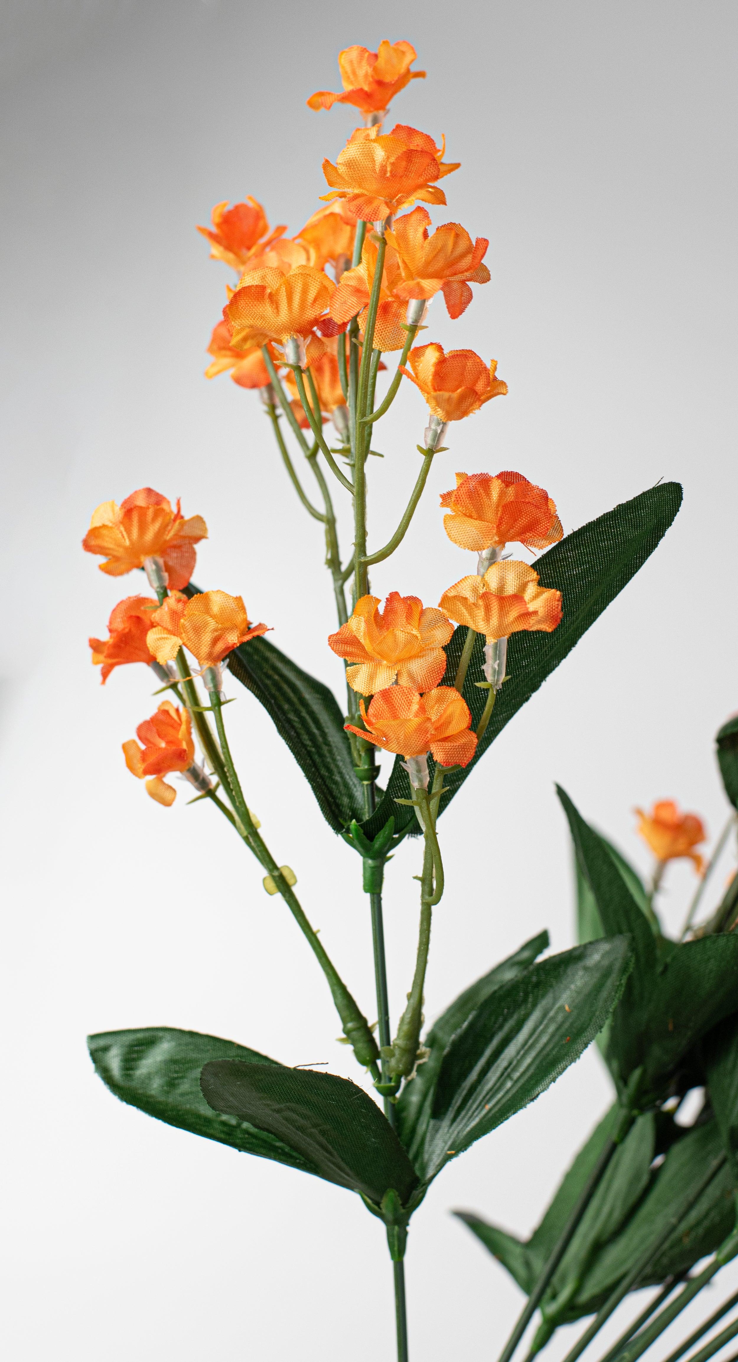 19" Colorfast Double Baby's Breath: Orange detail photo 4