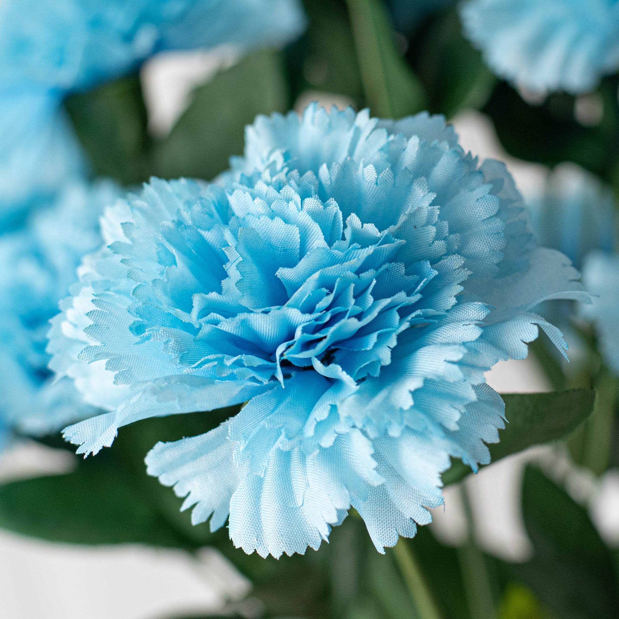 17" Colorfast Carnation Bush: Blue Lifestyle Photo