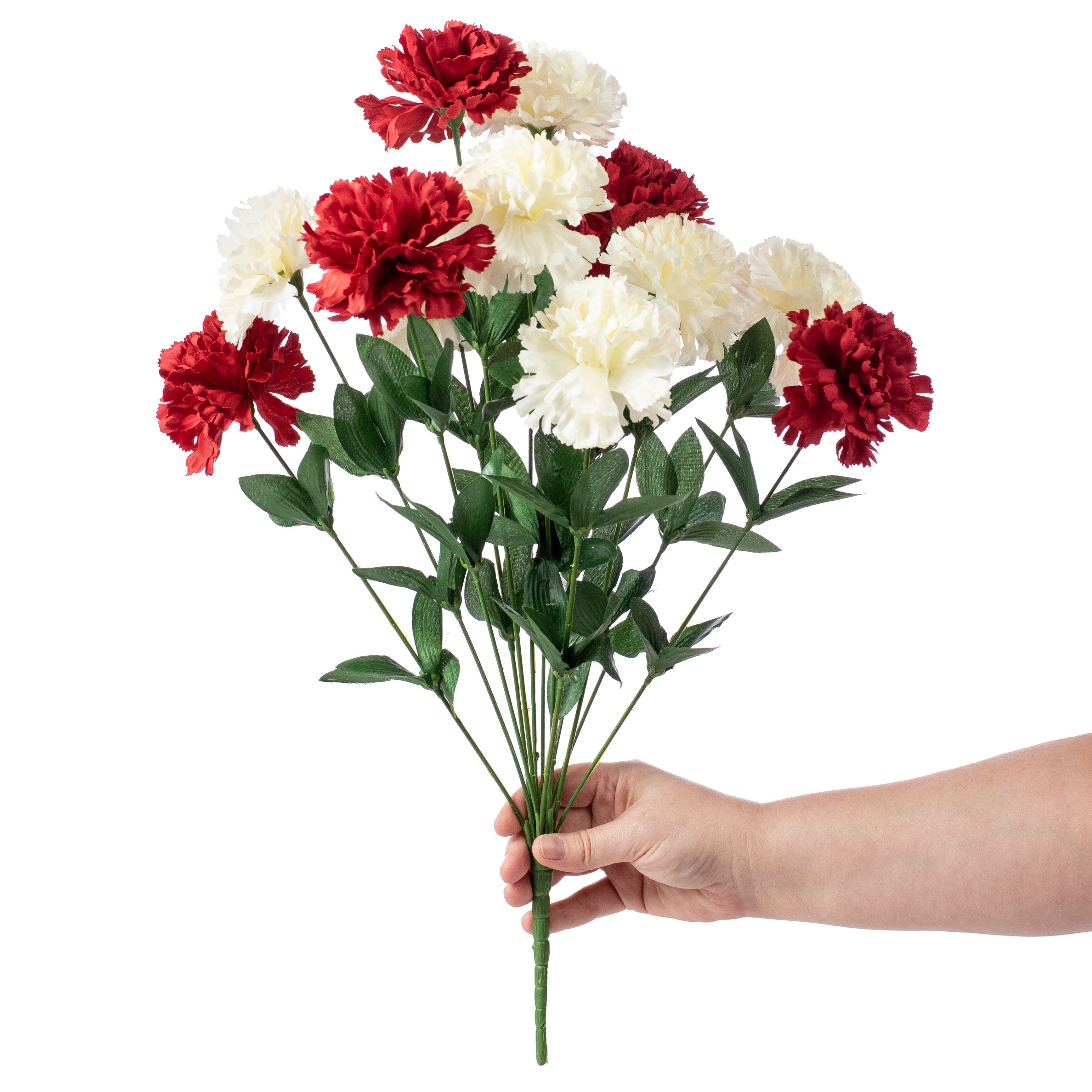 Colorfast Carnation Bush: Red & White (14 Stem) Lifestyle Photo