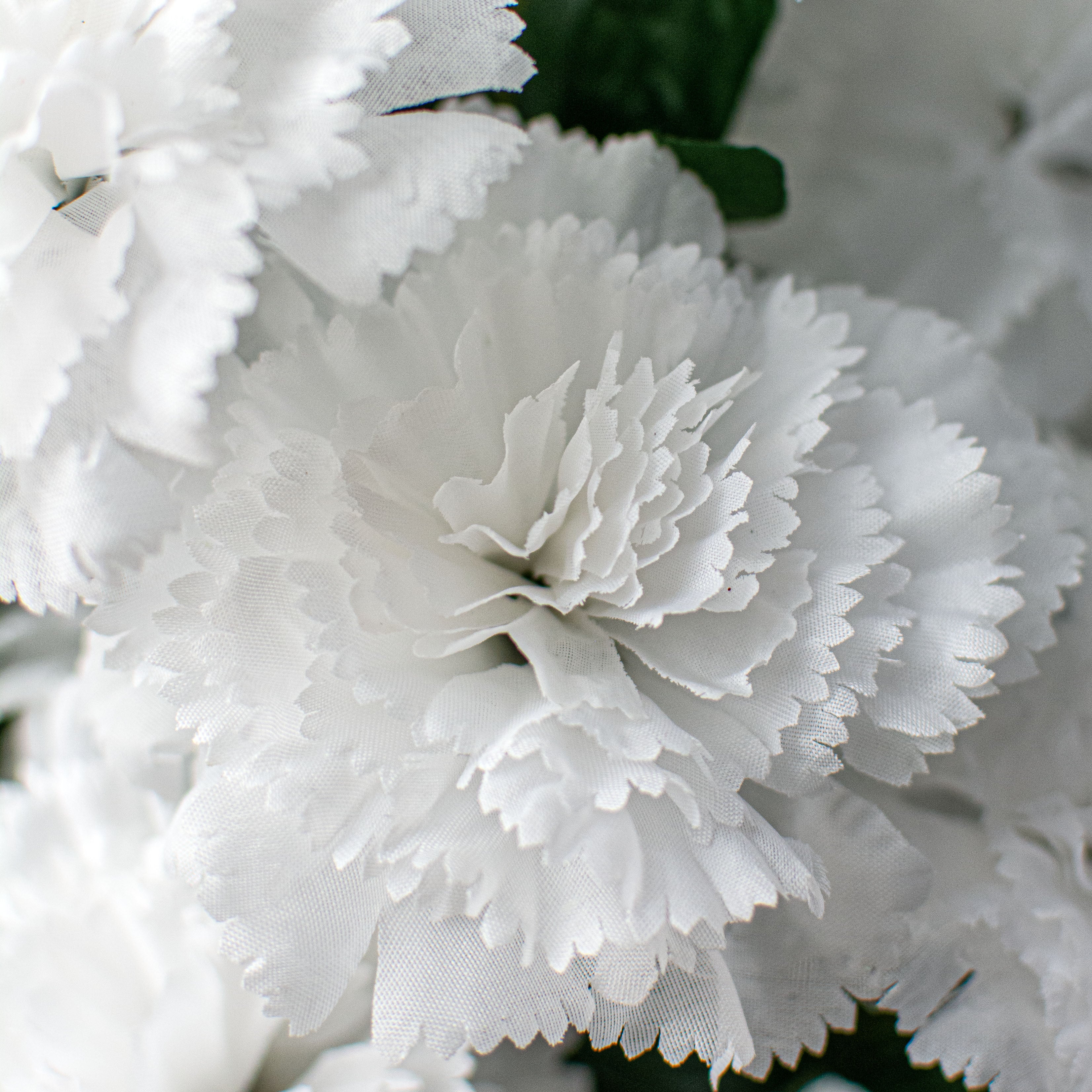 17" Colorfast Carnation Bush: White Lifestyle Photo