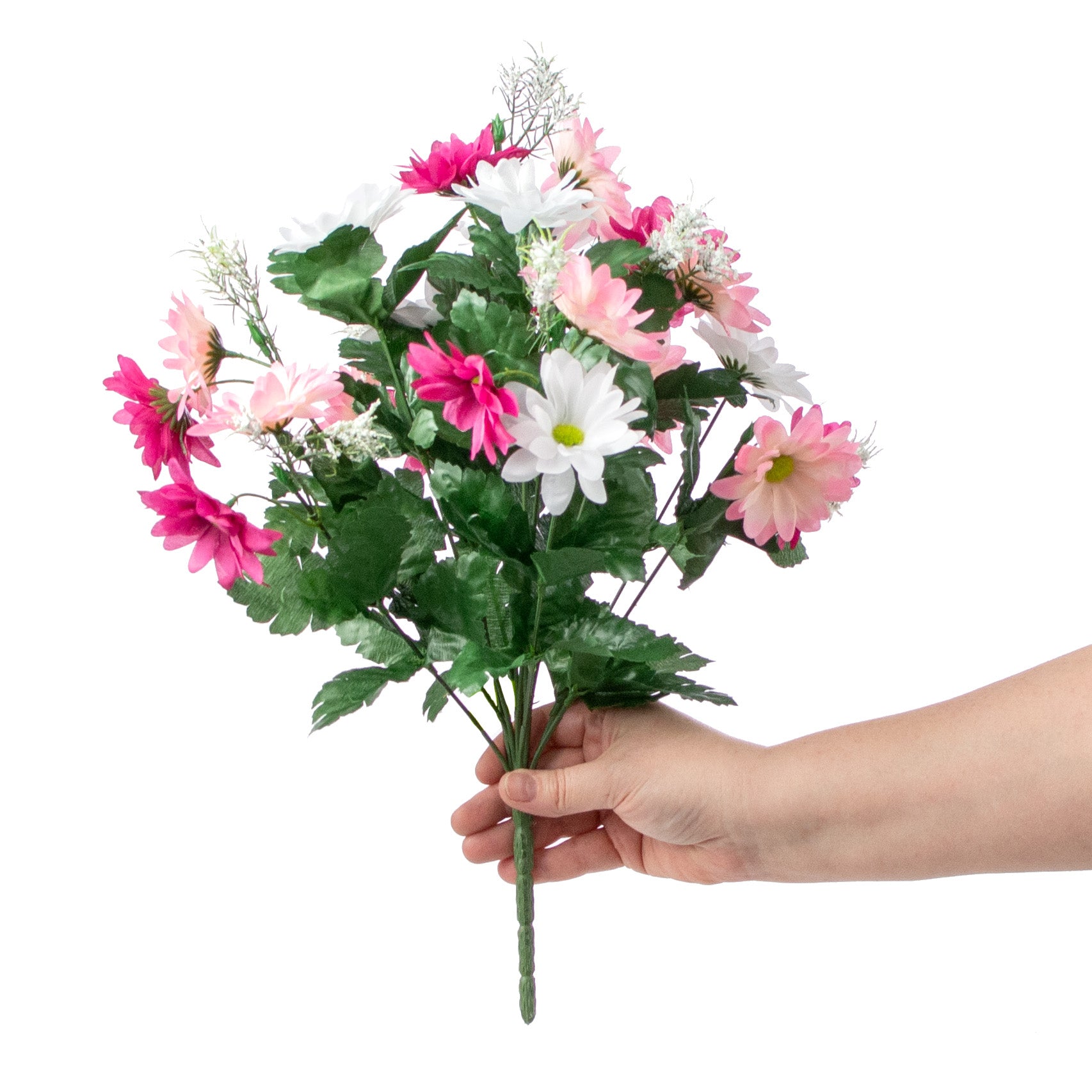 17" Colorfast Daisy Mix Bush: Fuchsia & Pink detail photo 3