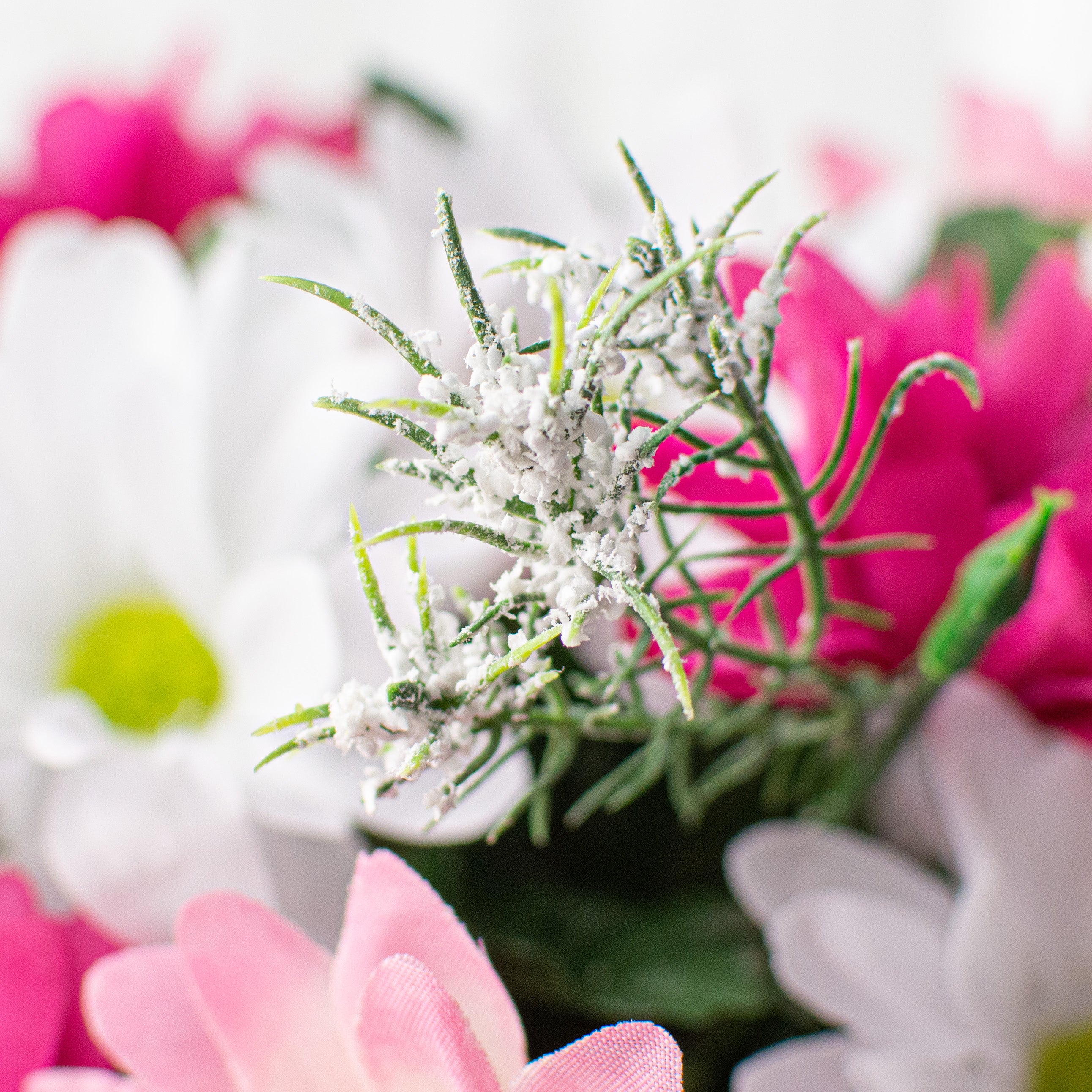 17" Colorfast Daisy Mix Bush: Fuchsia & Pink detail photo 4