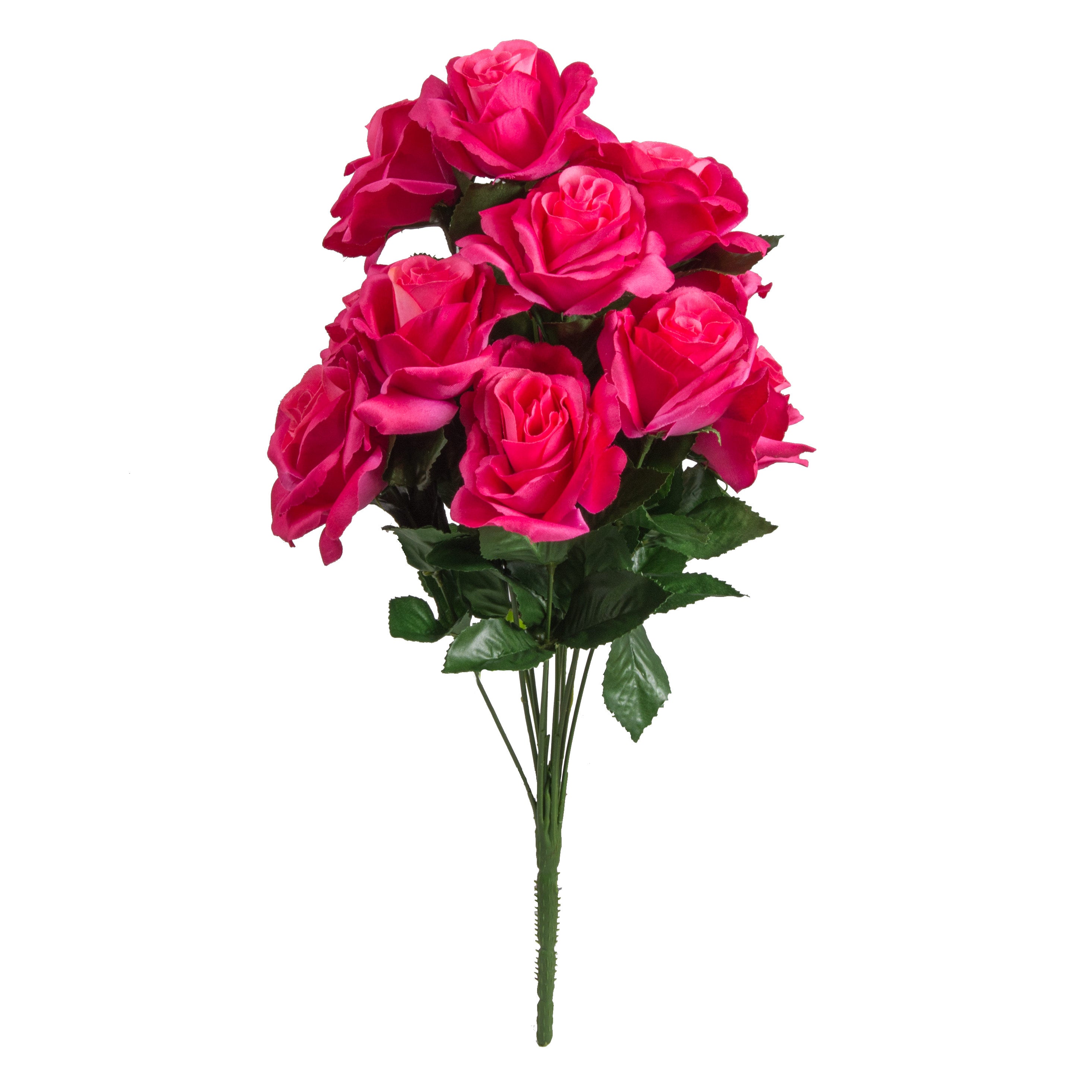 17" Colorfast Lillian Open Rose Bush: Fuchsia Pink detail photo 3
