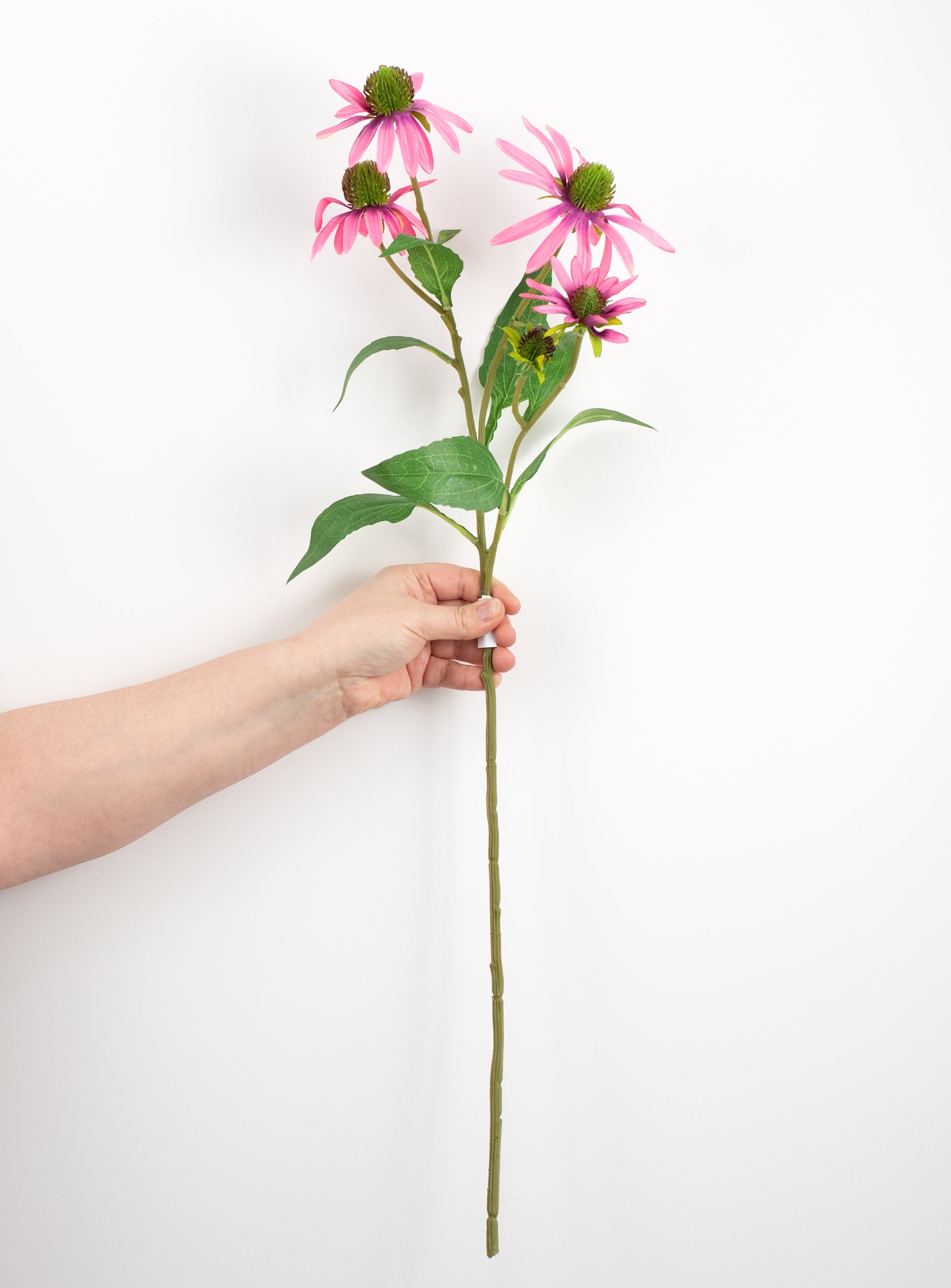 28" Coneflower Spray: Pink detail photo 3