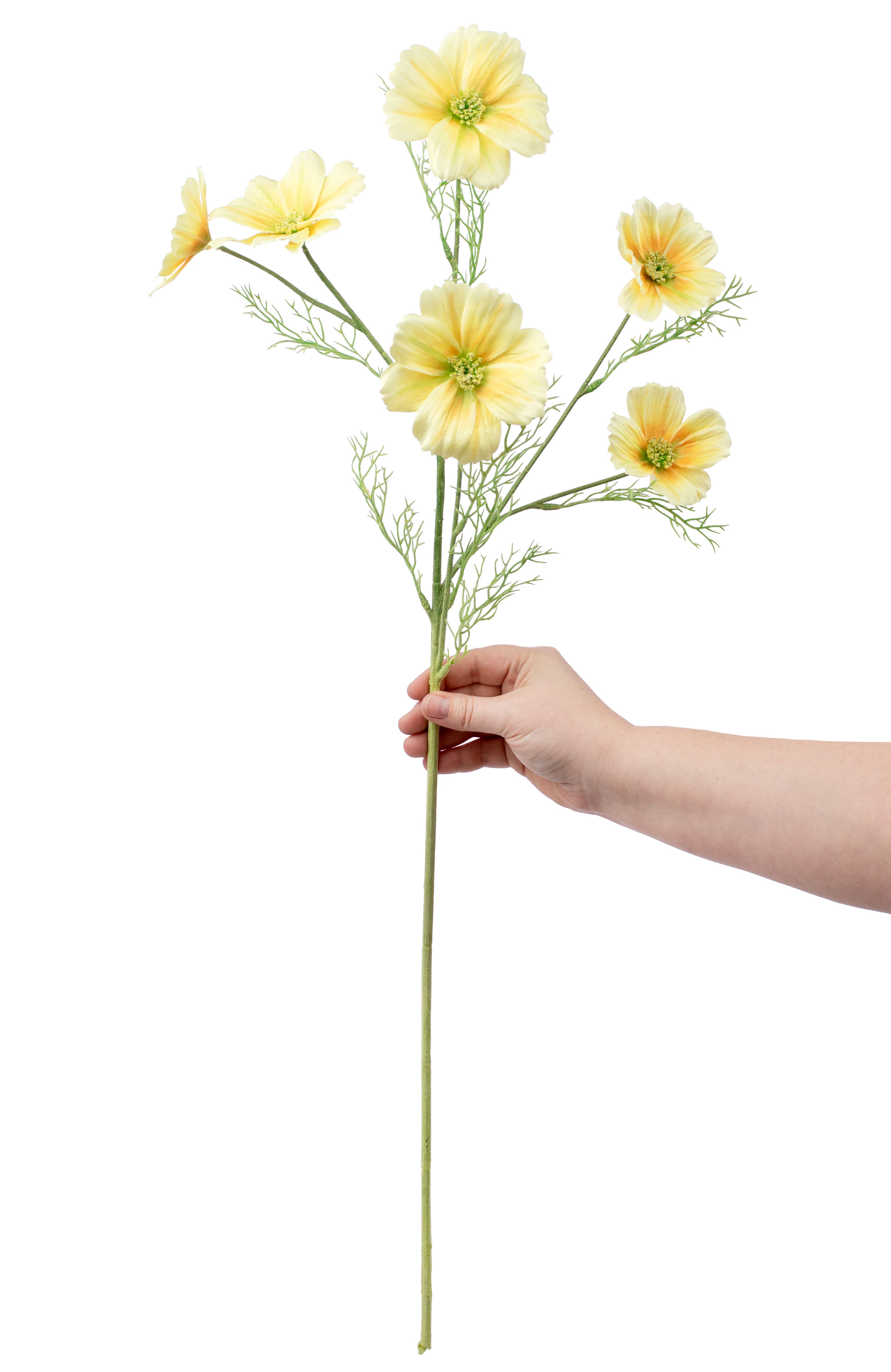 30" Cosmos Flower Spray: Yellow Lifestyle Photo