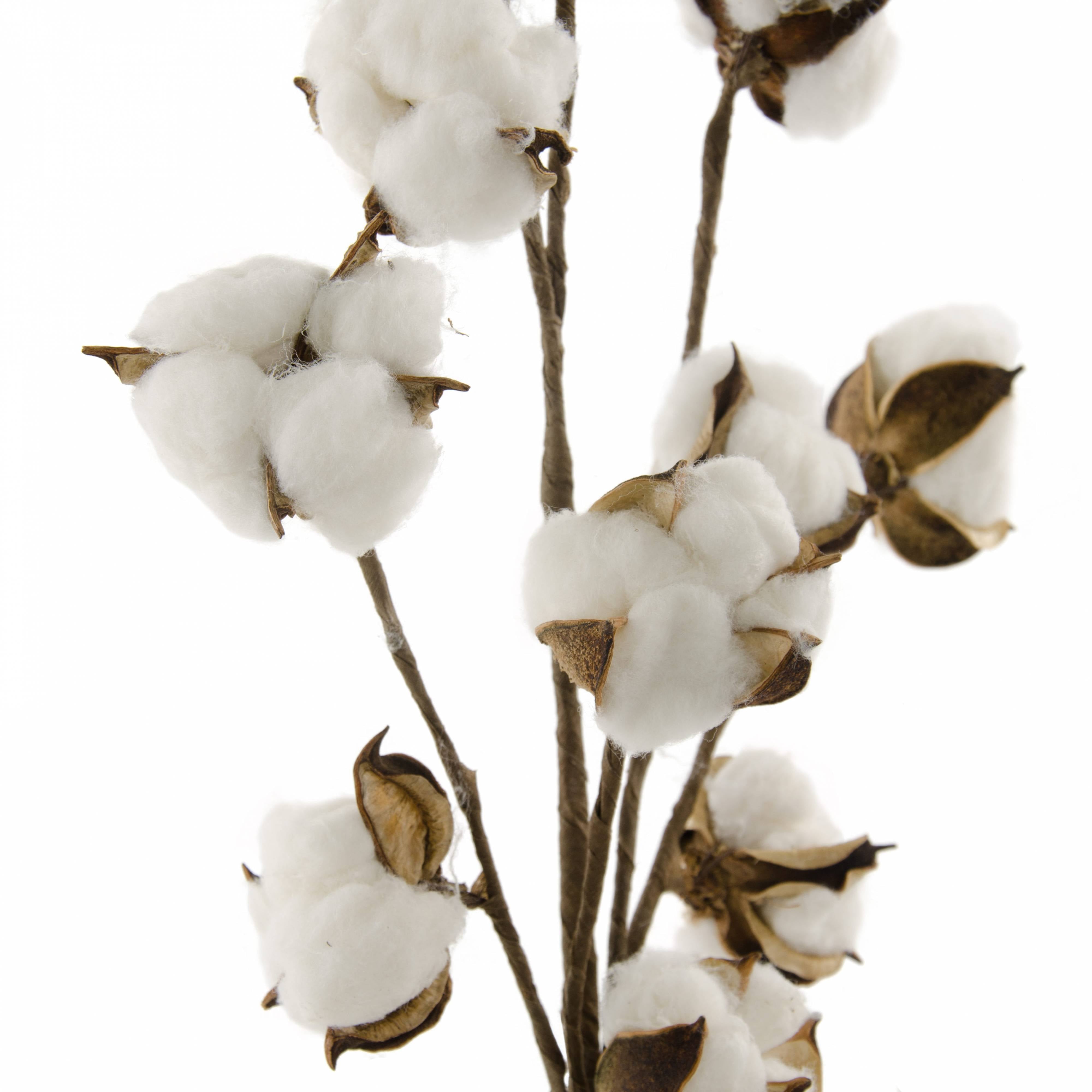 Cotton Boll Floral Spray: 20" Lifestyle Photo