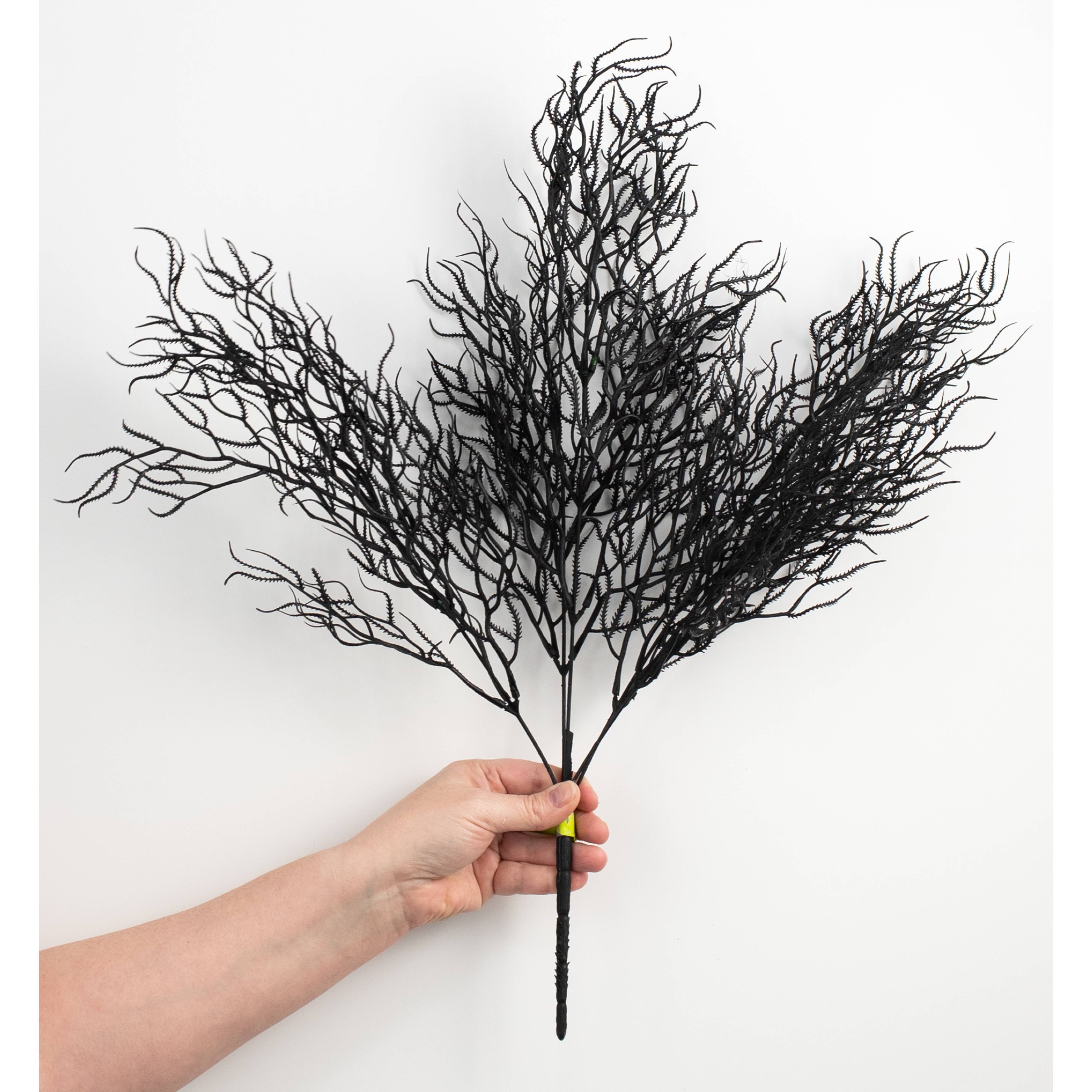 21" Cottonii Seaweed Bush: Black (5 Stem) detail photo 3