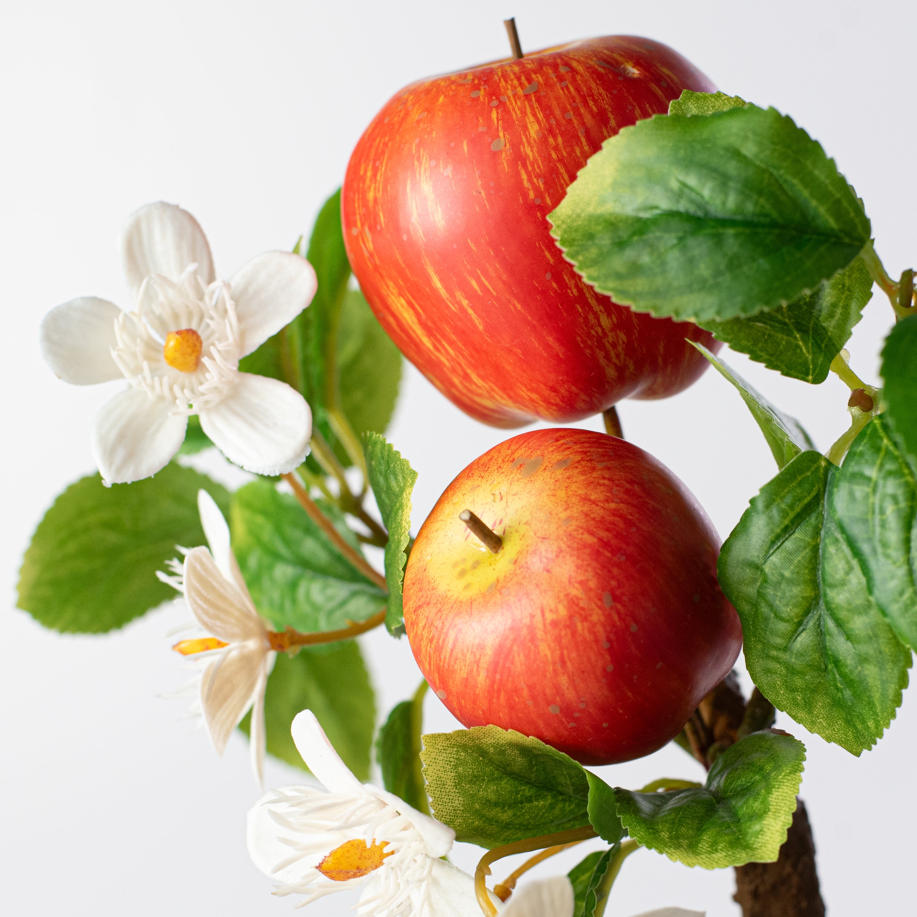 12" Country Apples & Blossoms Pick Lifestyle Photo