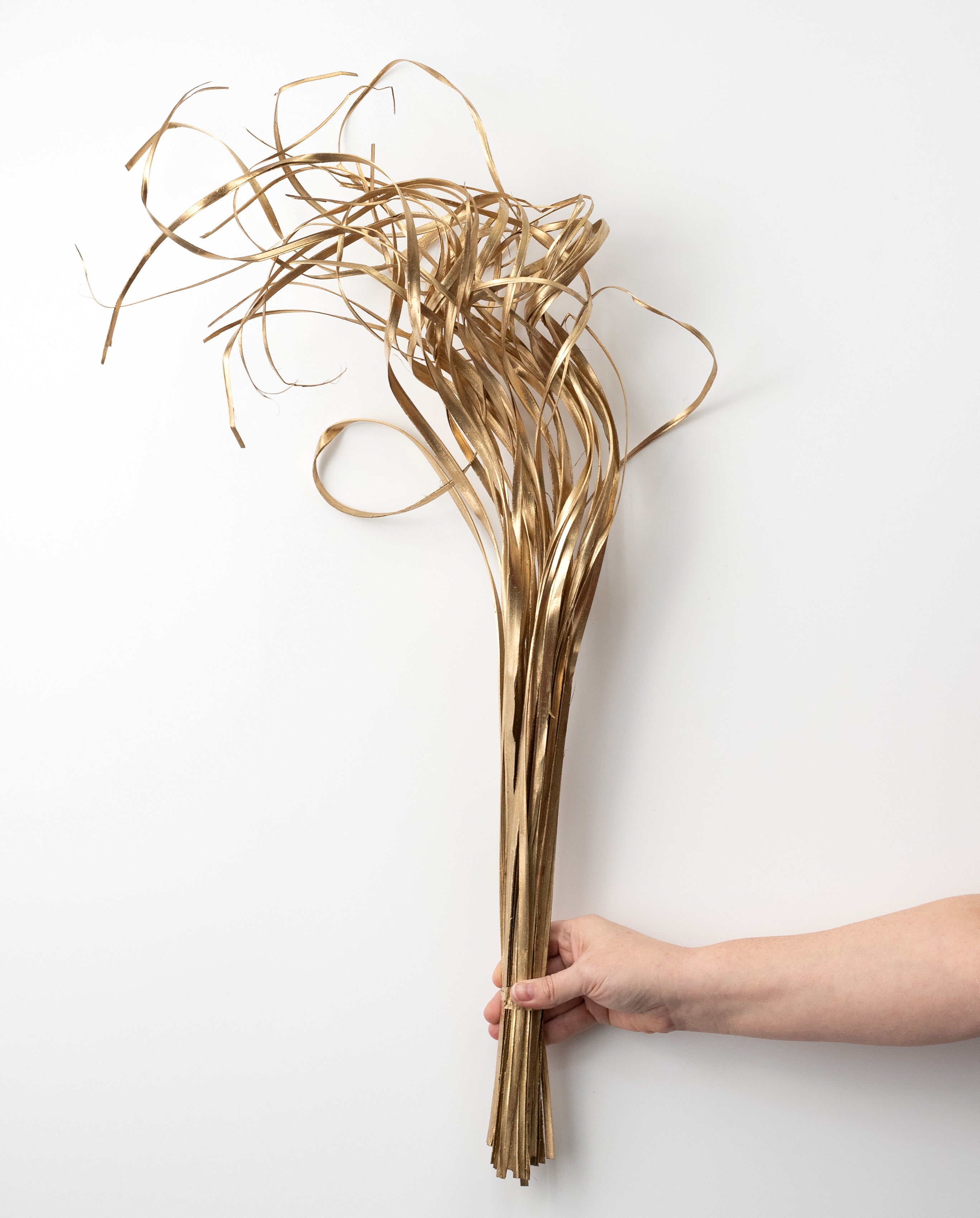 27" Curly Palmyra Palm Grass Bundle: Gold detail photo 3