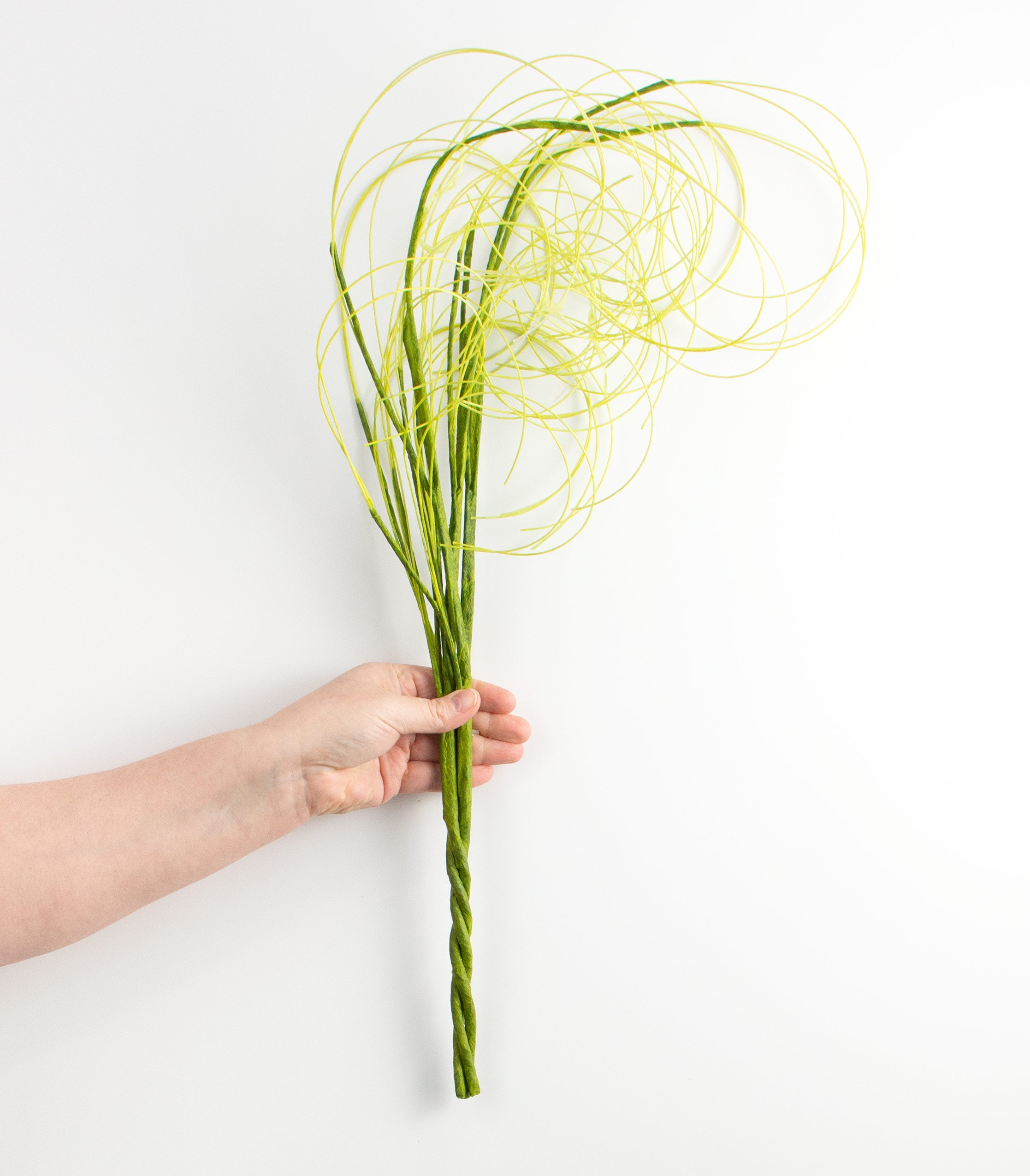 28" Curly Willow Twig: Green detail photo 3