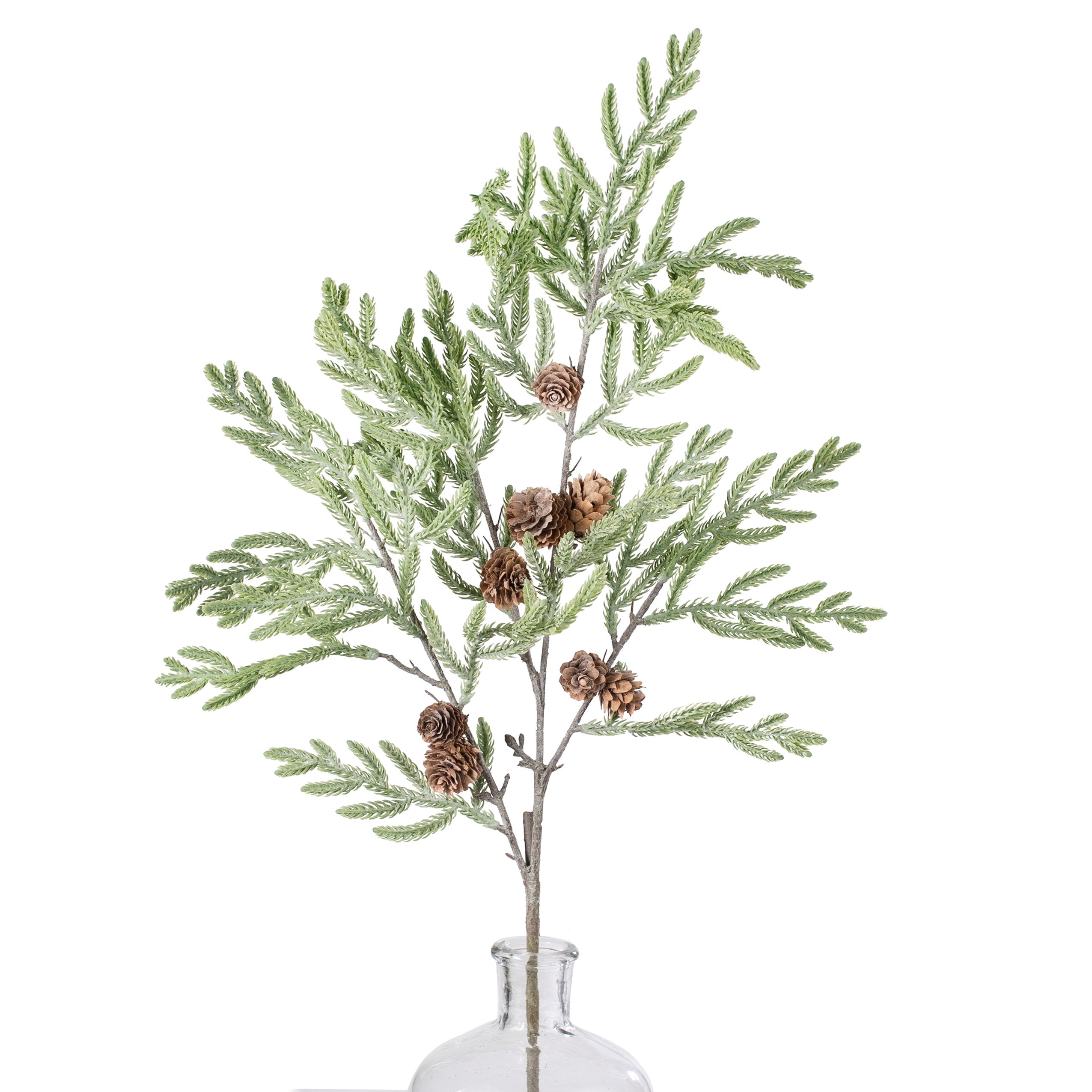 34" Cypress Pinecone Branch: Light Green Item Number: 167129