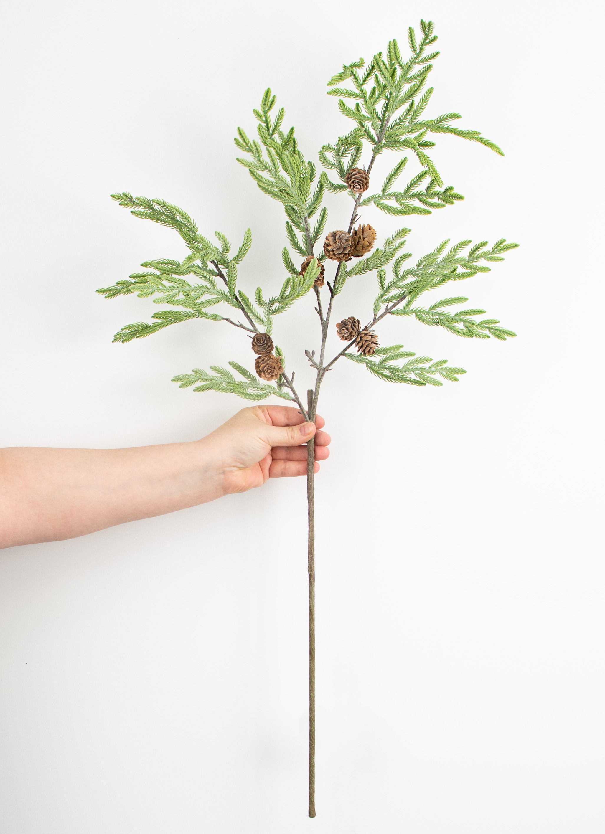 34" Cypress Pinecone Branch: Light Green detail photo 3