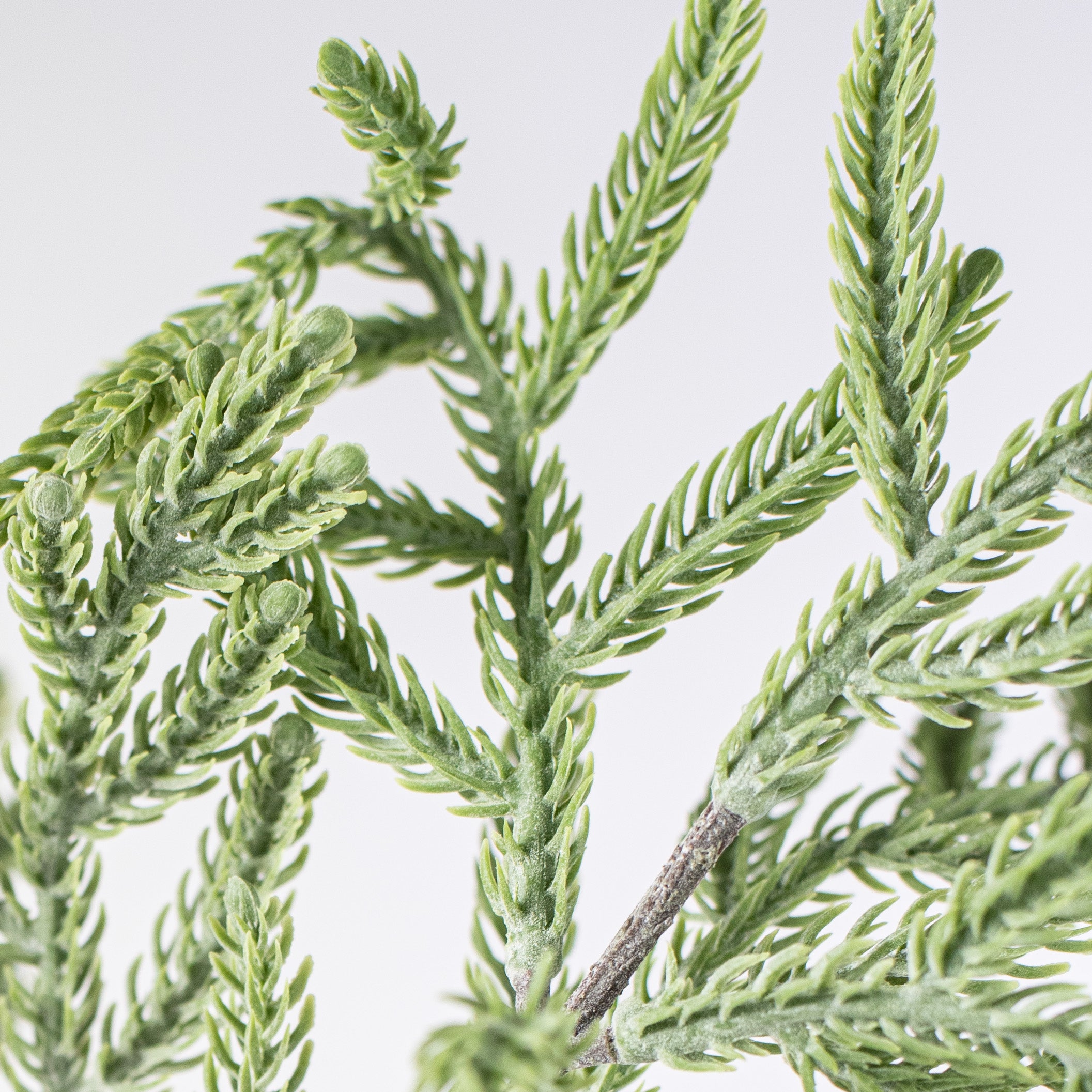 34" Cypress Pinecone Branch: Light Green detail photo 4