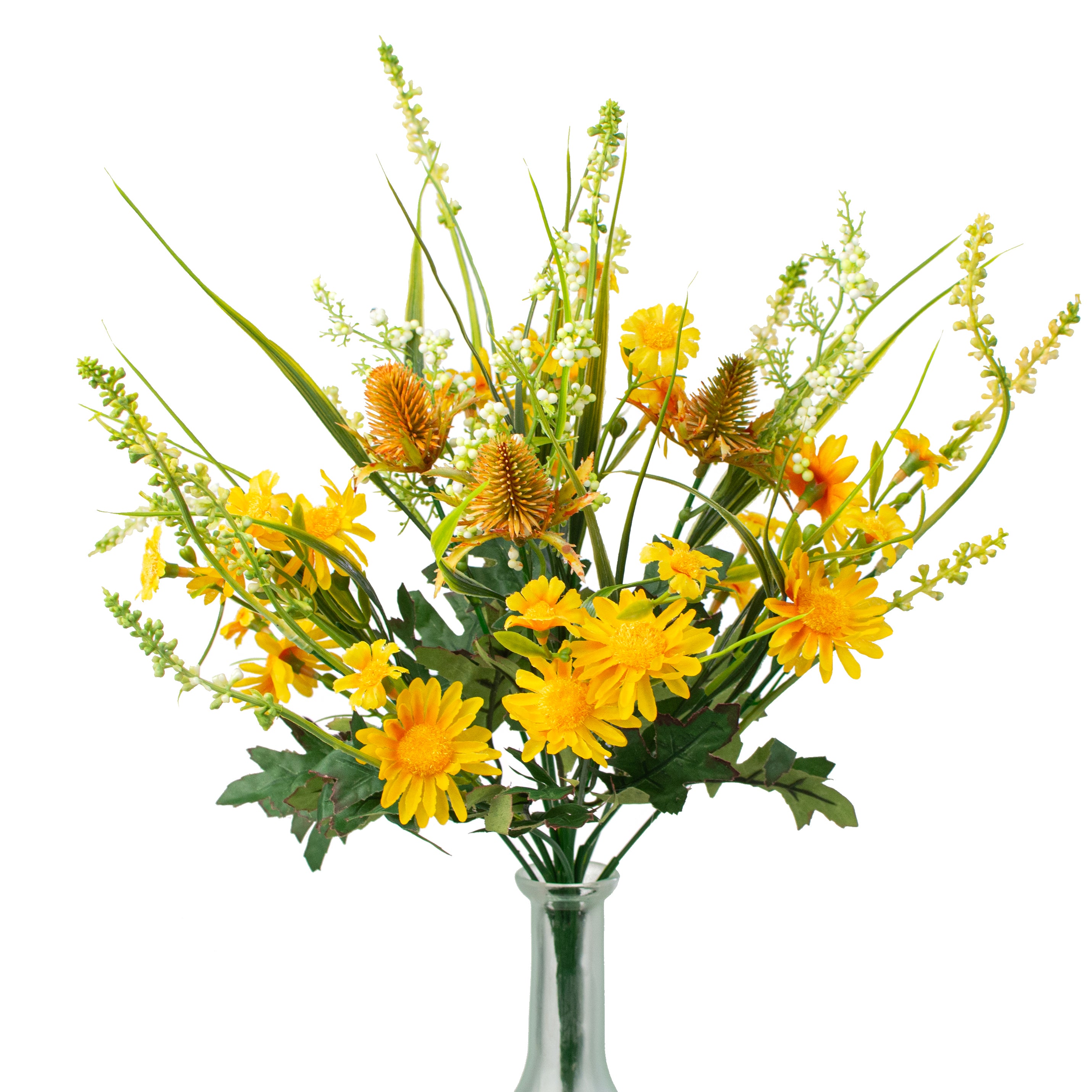 yellow flower lavender 17" Daisy Lavender Bush: Yellow
