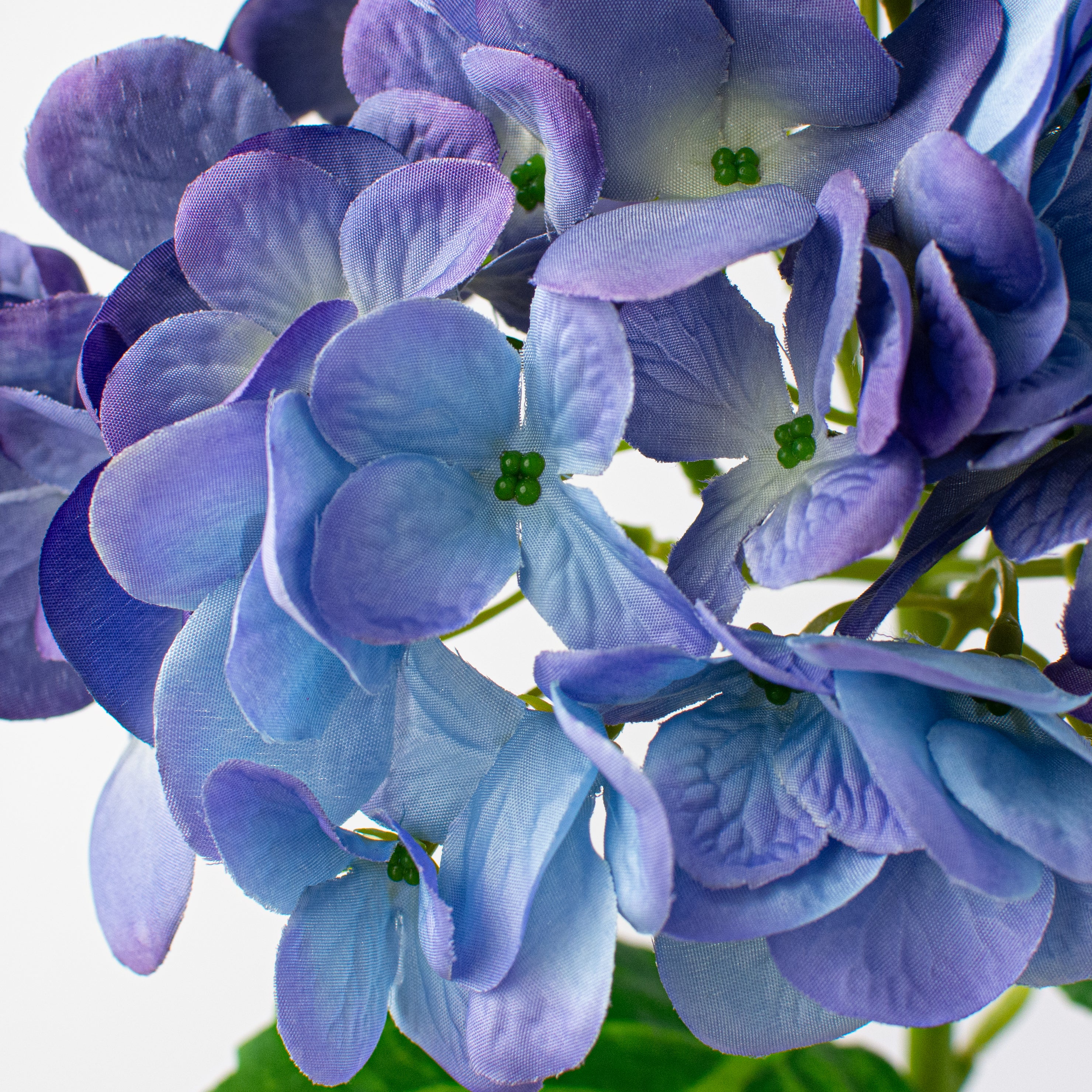 19" Deluxe Mophead Hydrangea Spray: Blue, Purple Lifestyle Photo