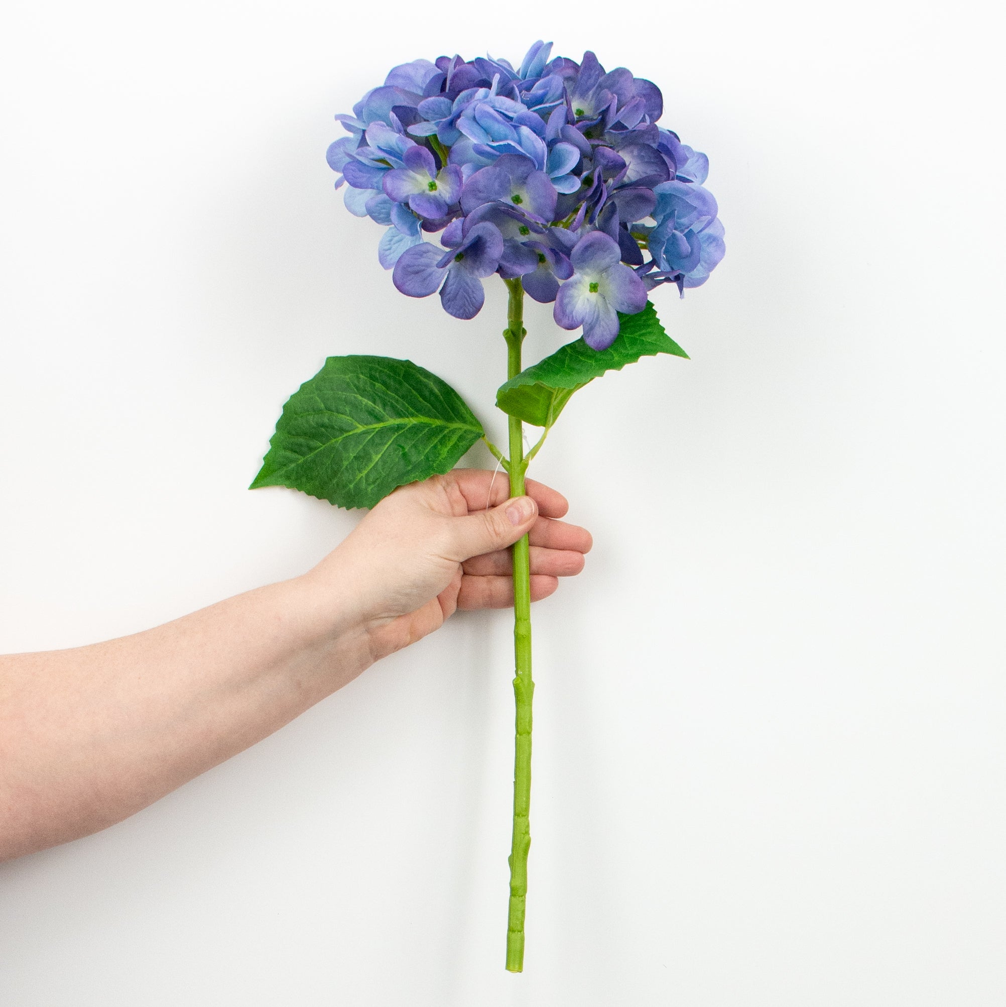 19" Deluxe Mophead Hydrangea Spray: Blue, Purple detail photo 3
