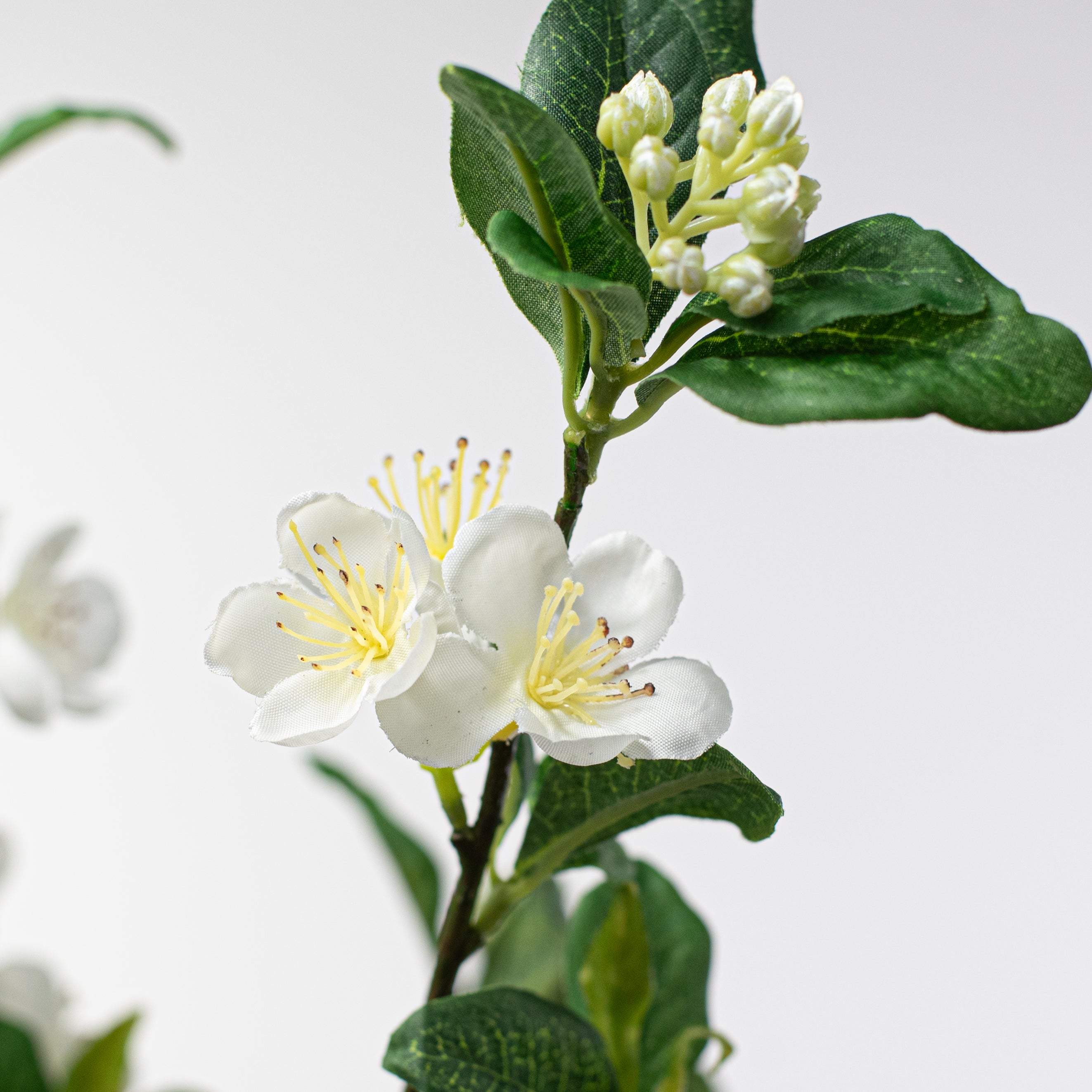 34" Dogwood Branch Spray: Cream Lifestyle Photo