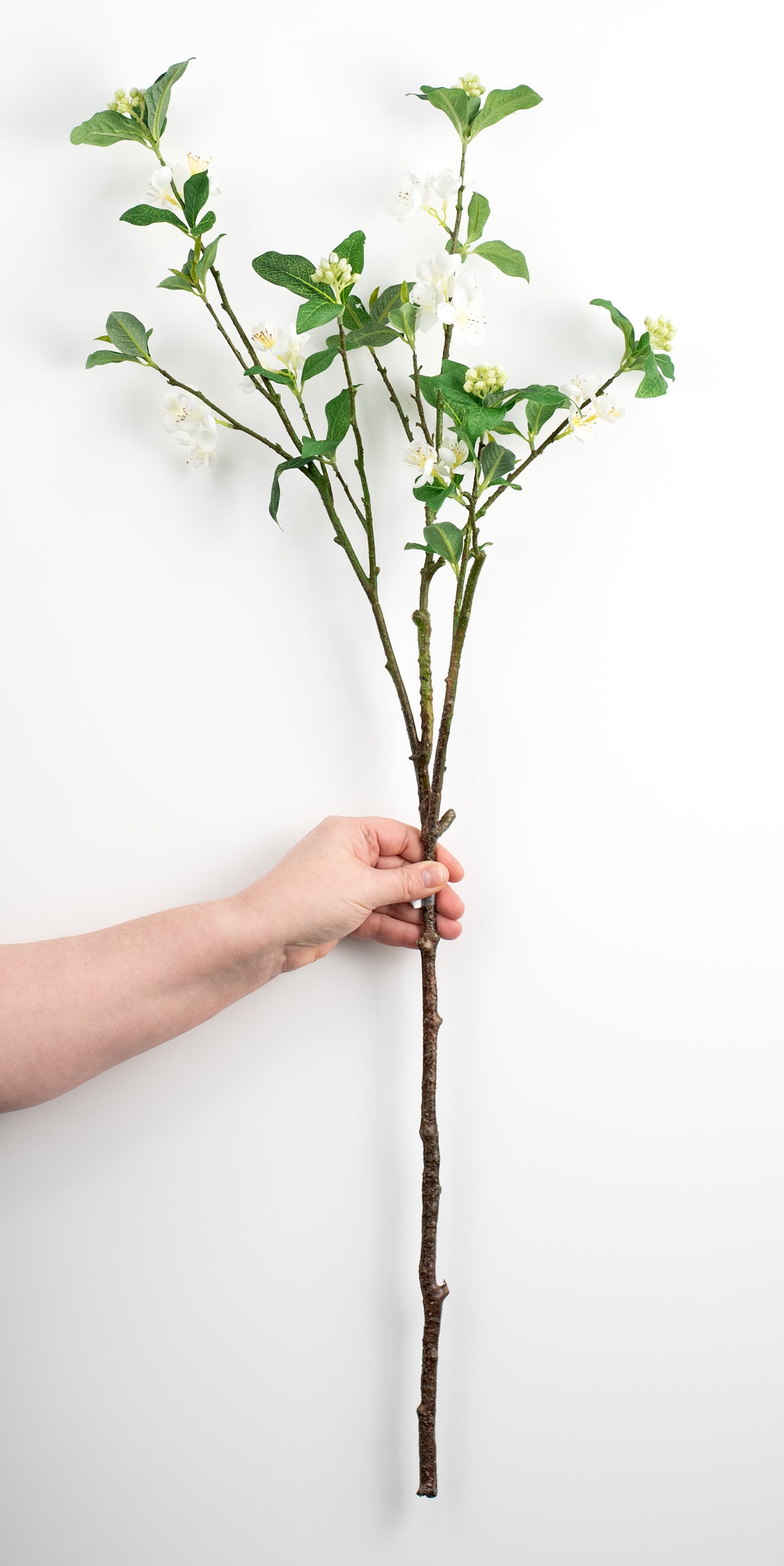 34" Dogwood Branch Spray: Cream detail photo 3