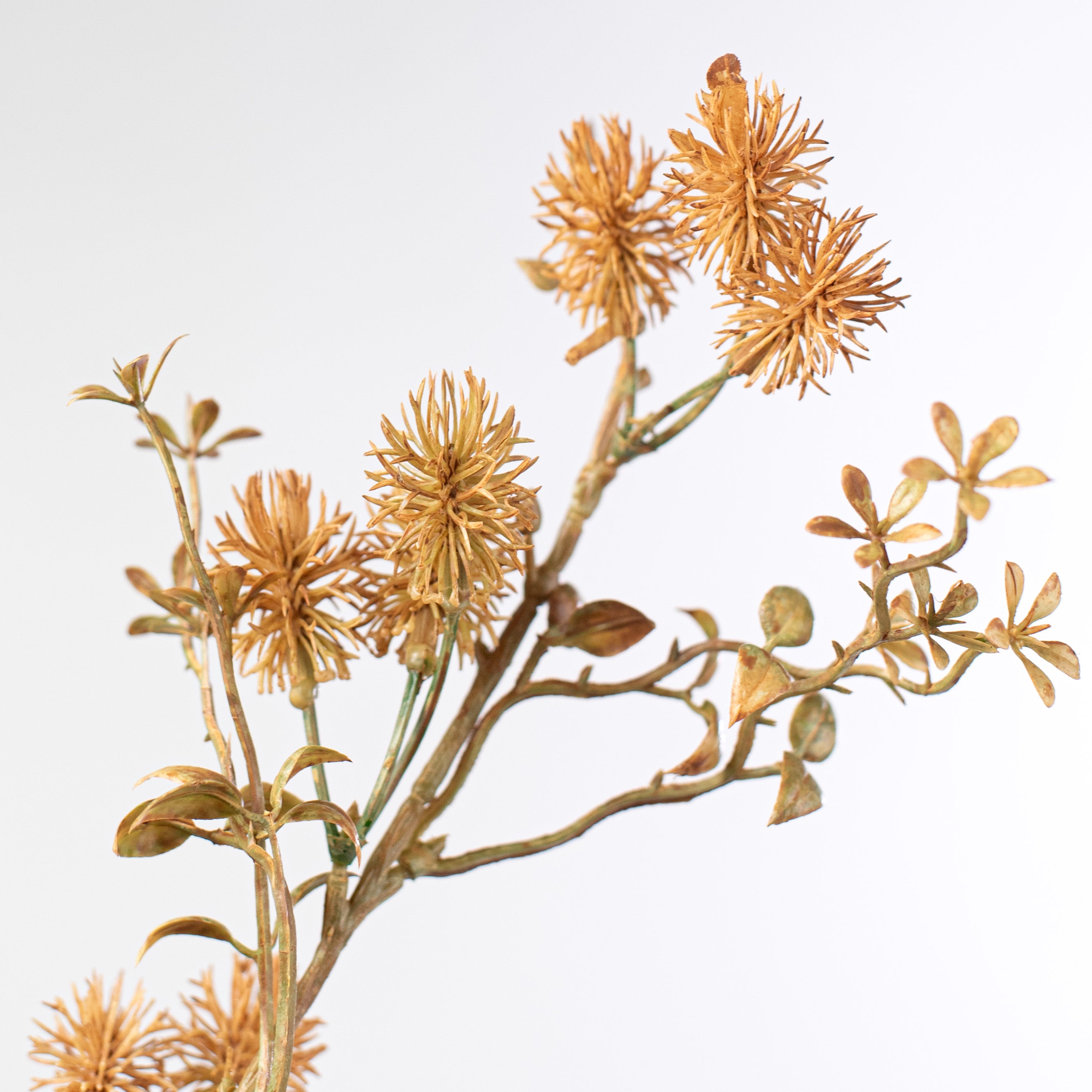 34" Dried Thistle Filler Spray: Brown Lifestyle Photo