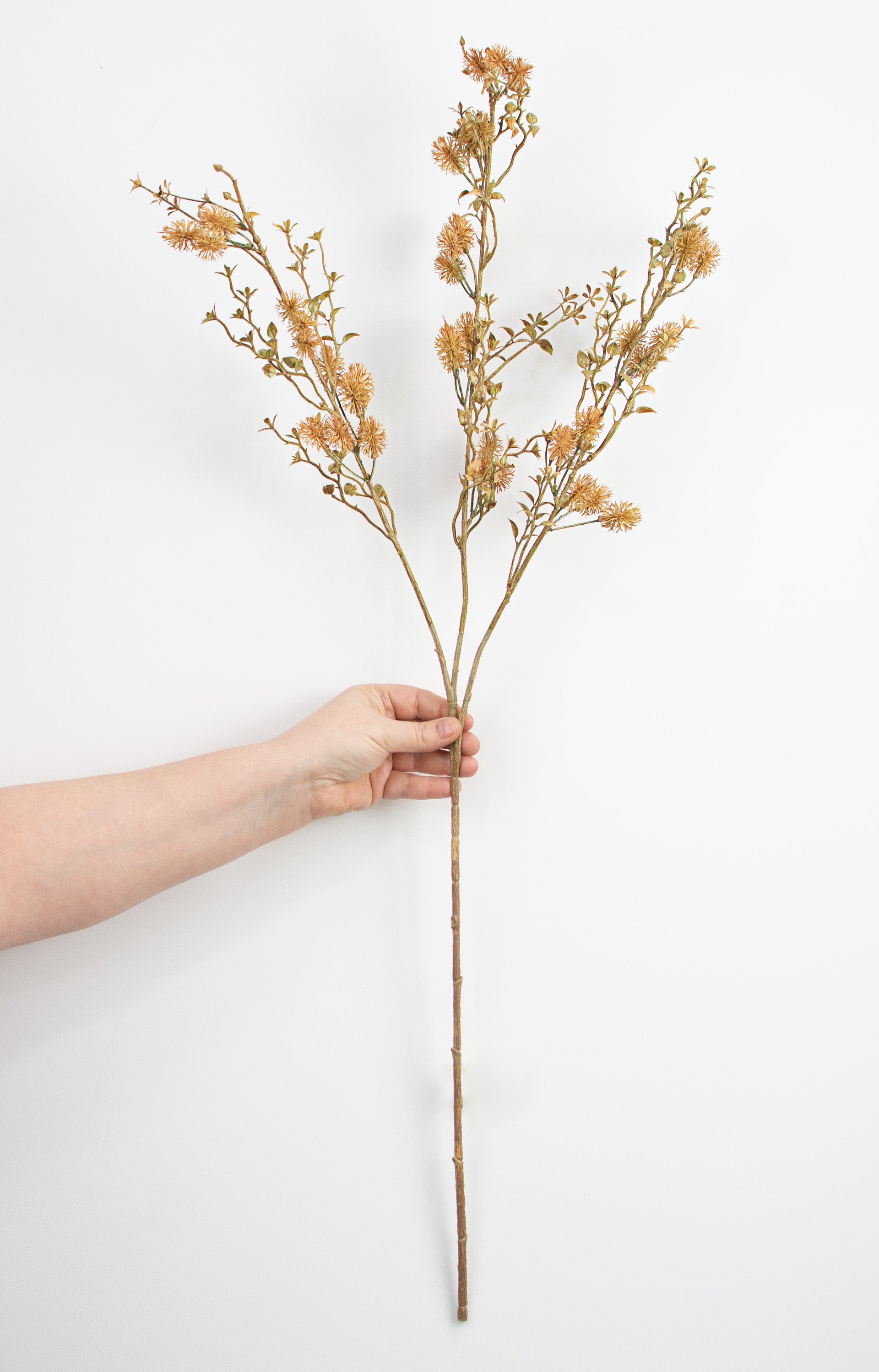 34" Dried Thistle Filler Spray: Brown detail photo 3