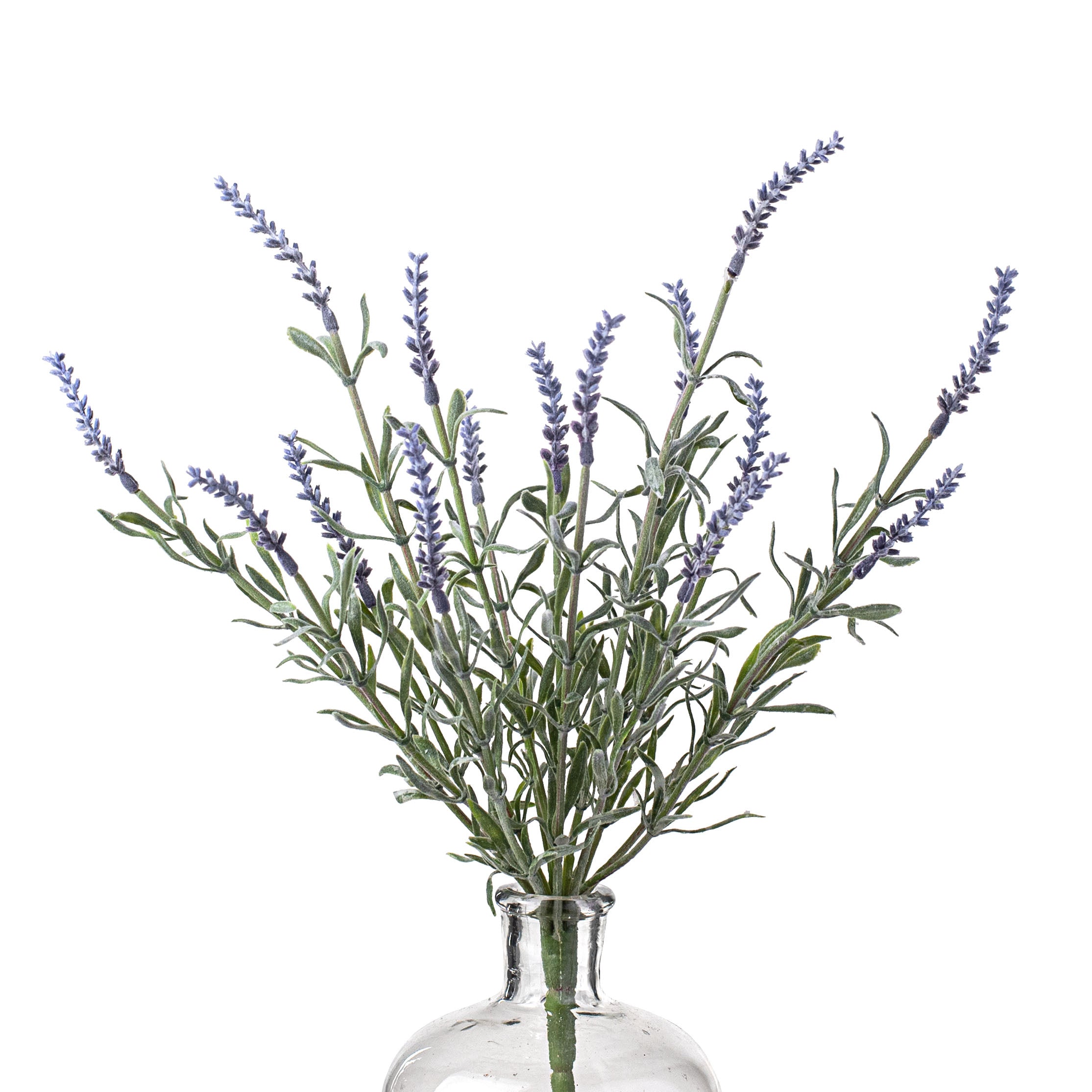 15" Dusty Lavender Bush Item Number: 106976