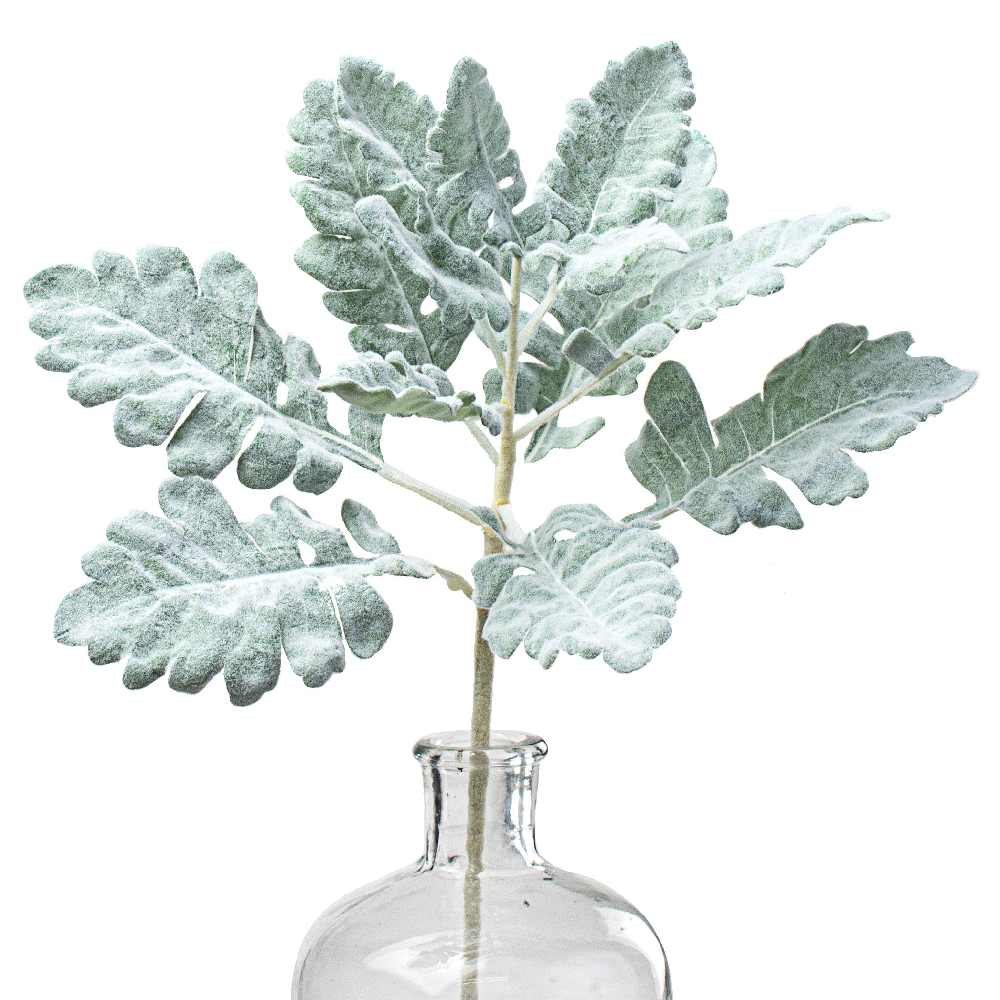 17" Dusty Miller Spray Item Number: 147911