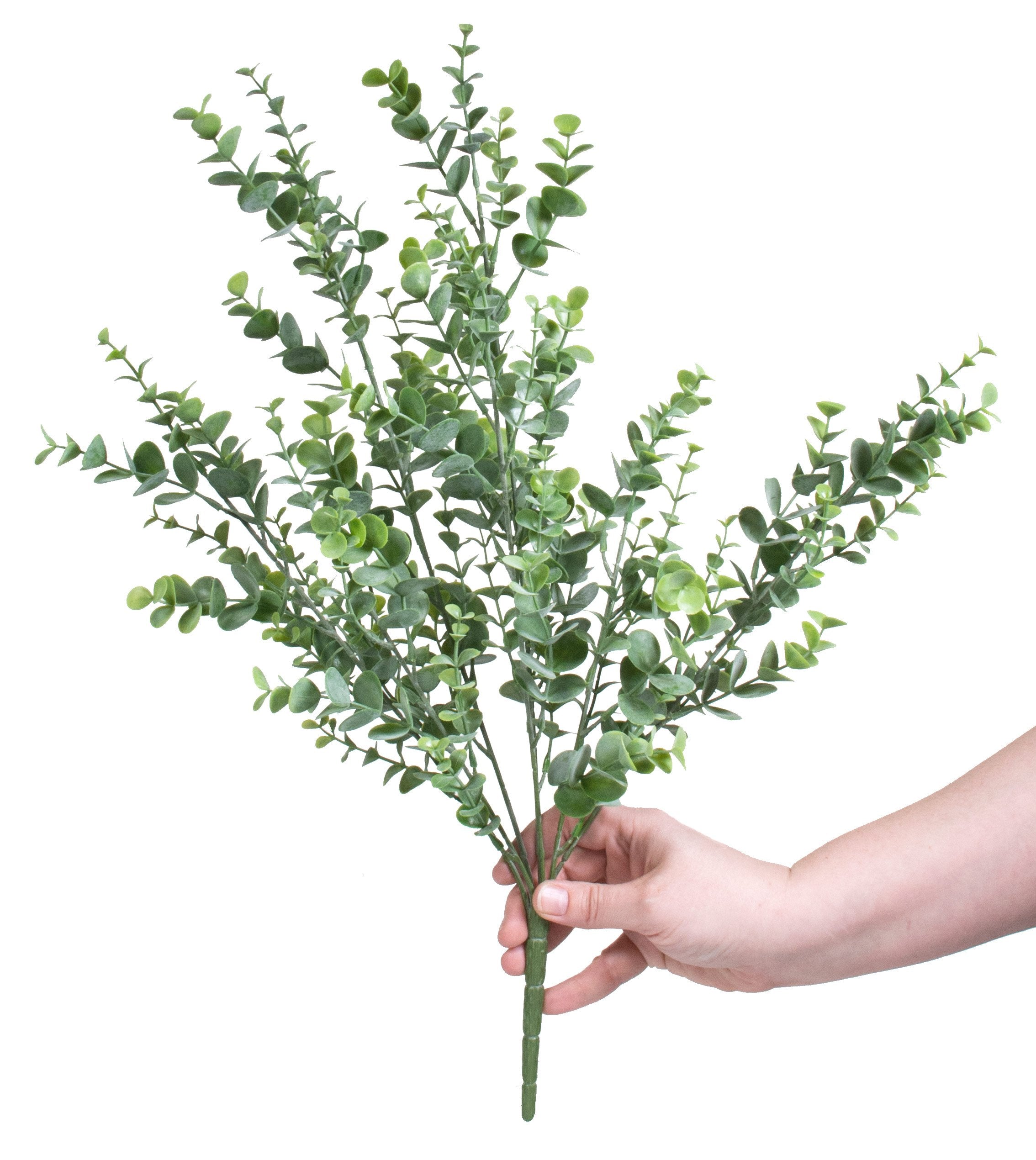 20" Eucalyptus Bush detail photo 3
