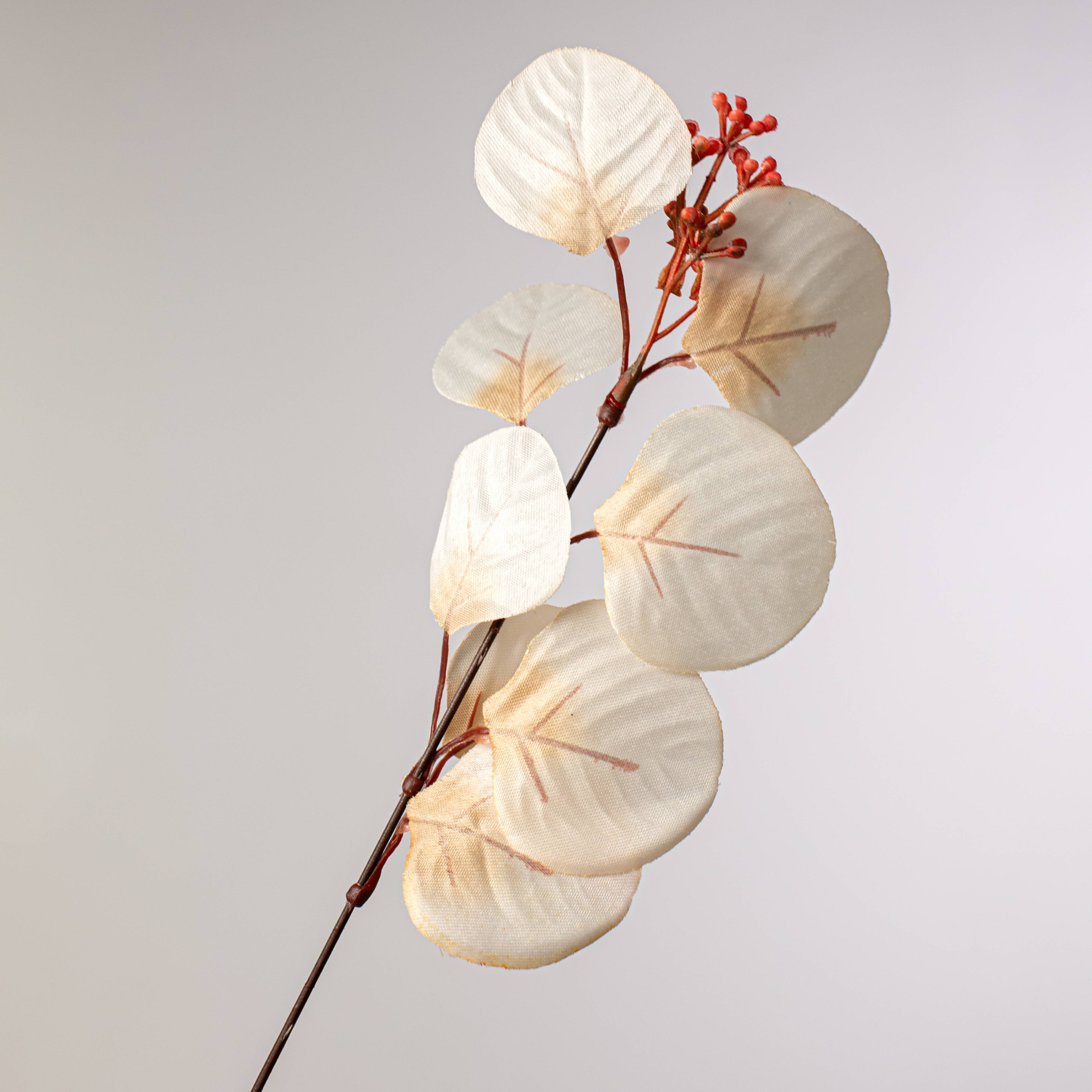 18" Eucalyptus Bush: Beige (10 Stem) detail photo 4