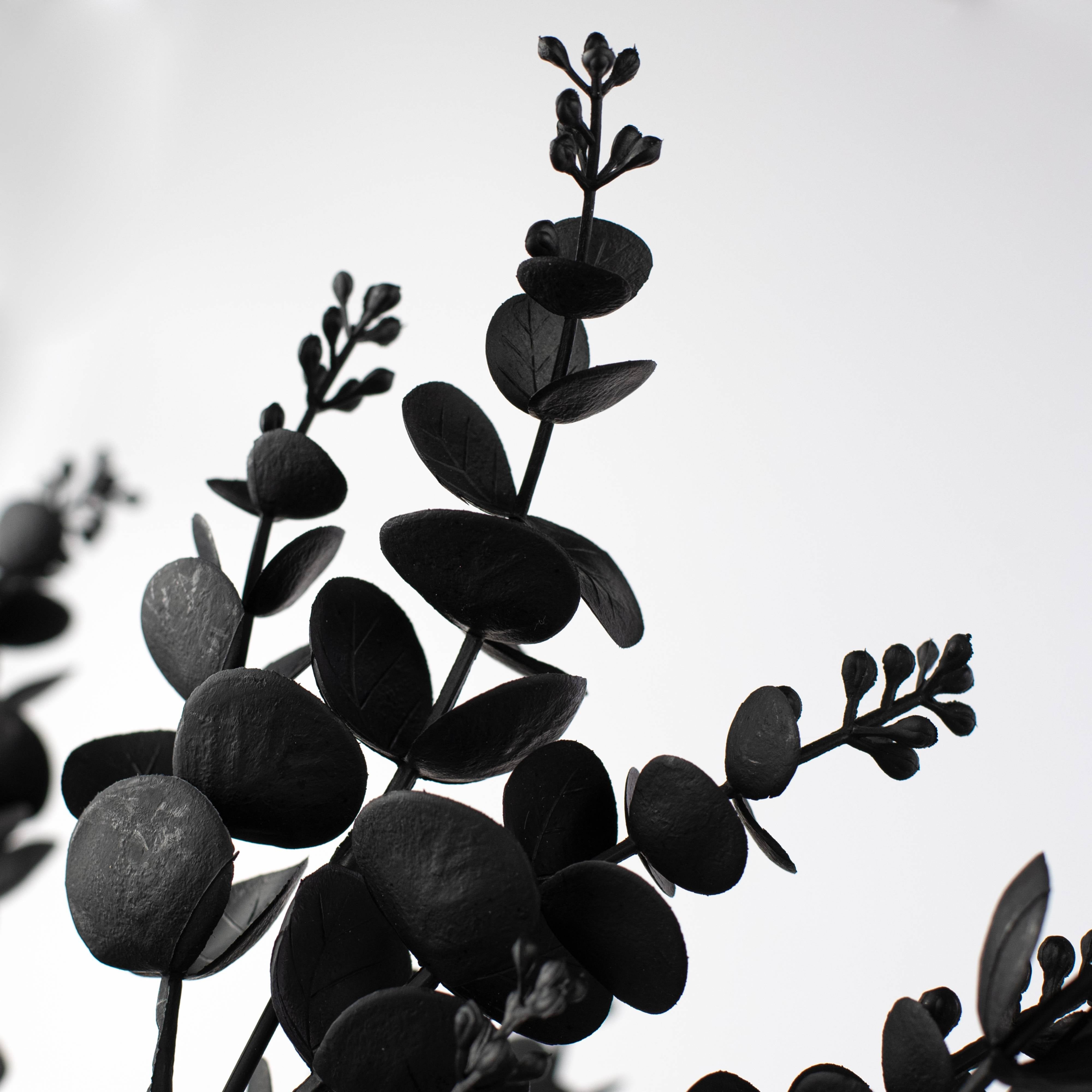 20" Eucalyptus Bush: Black Lifestyle Photo