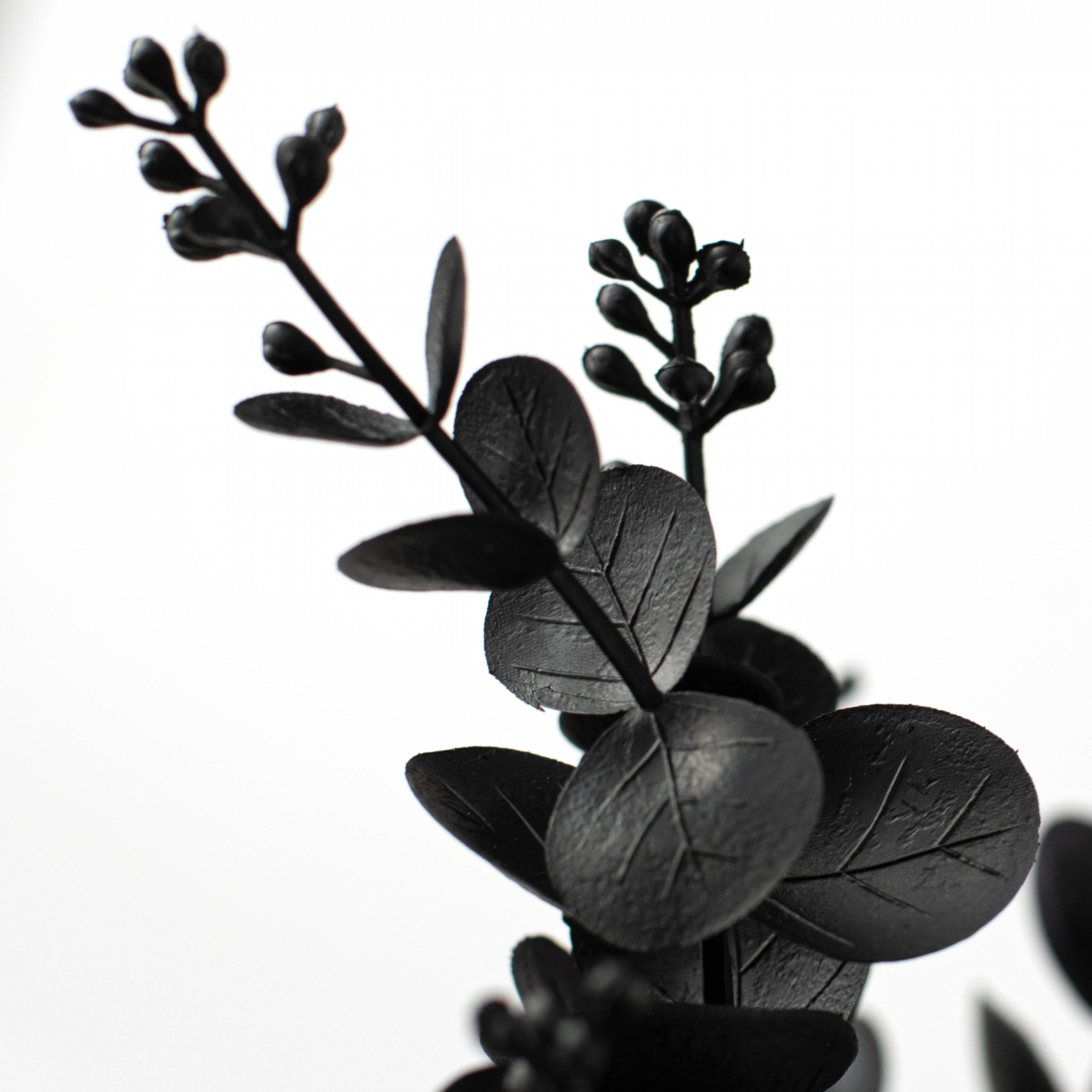20" Eucalyptus Bush: Black detail photo 4