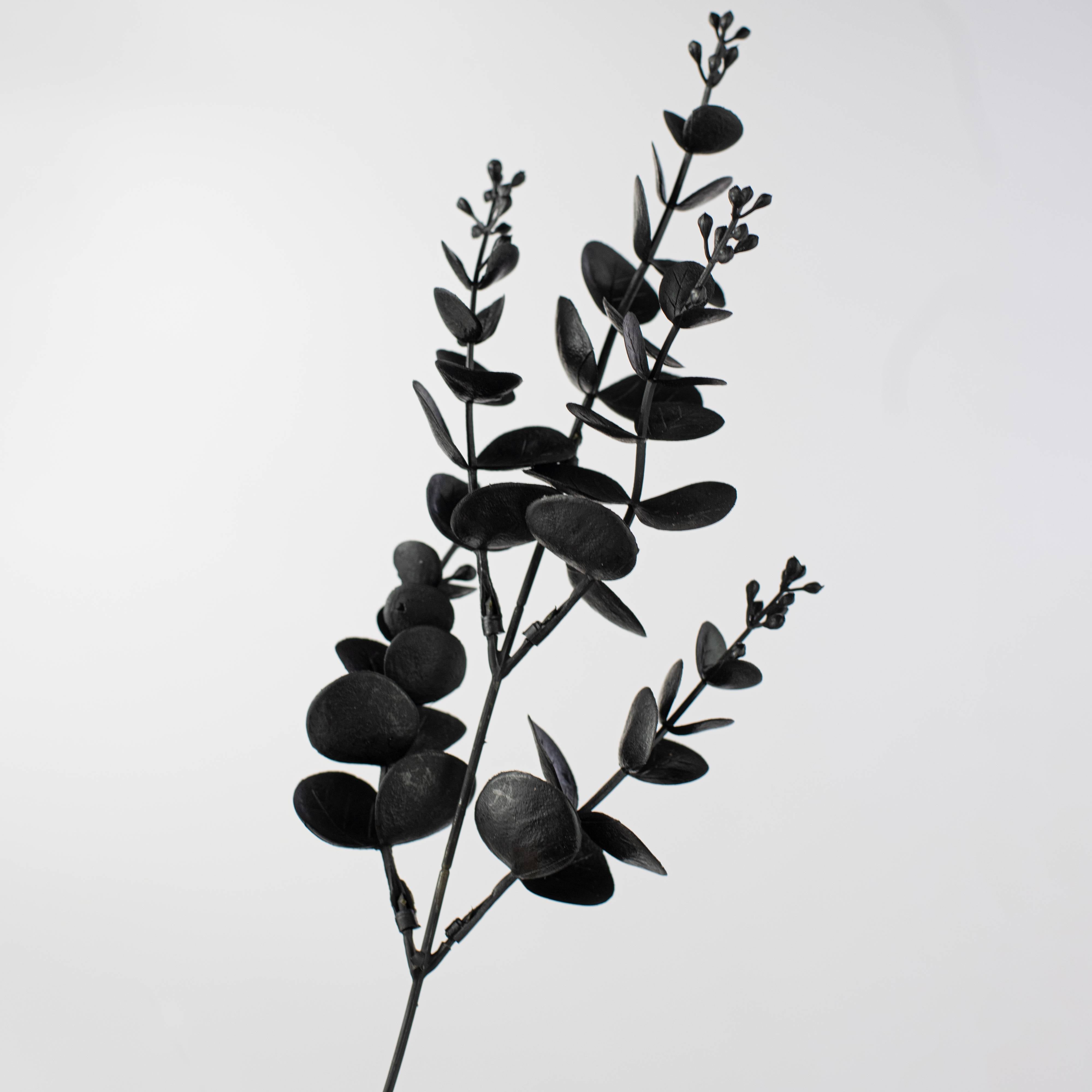 20" Eucalyptus Bush: Black detail photo 5